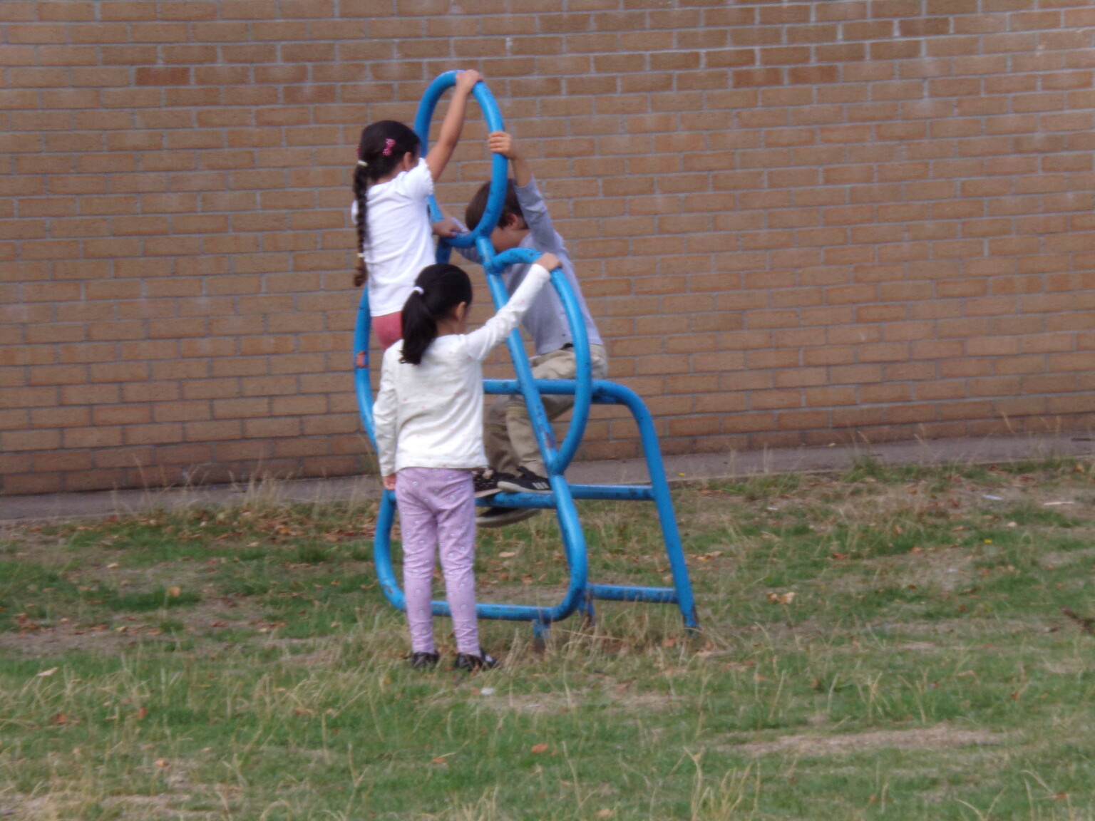 Climbing frames on the field. 