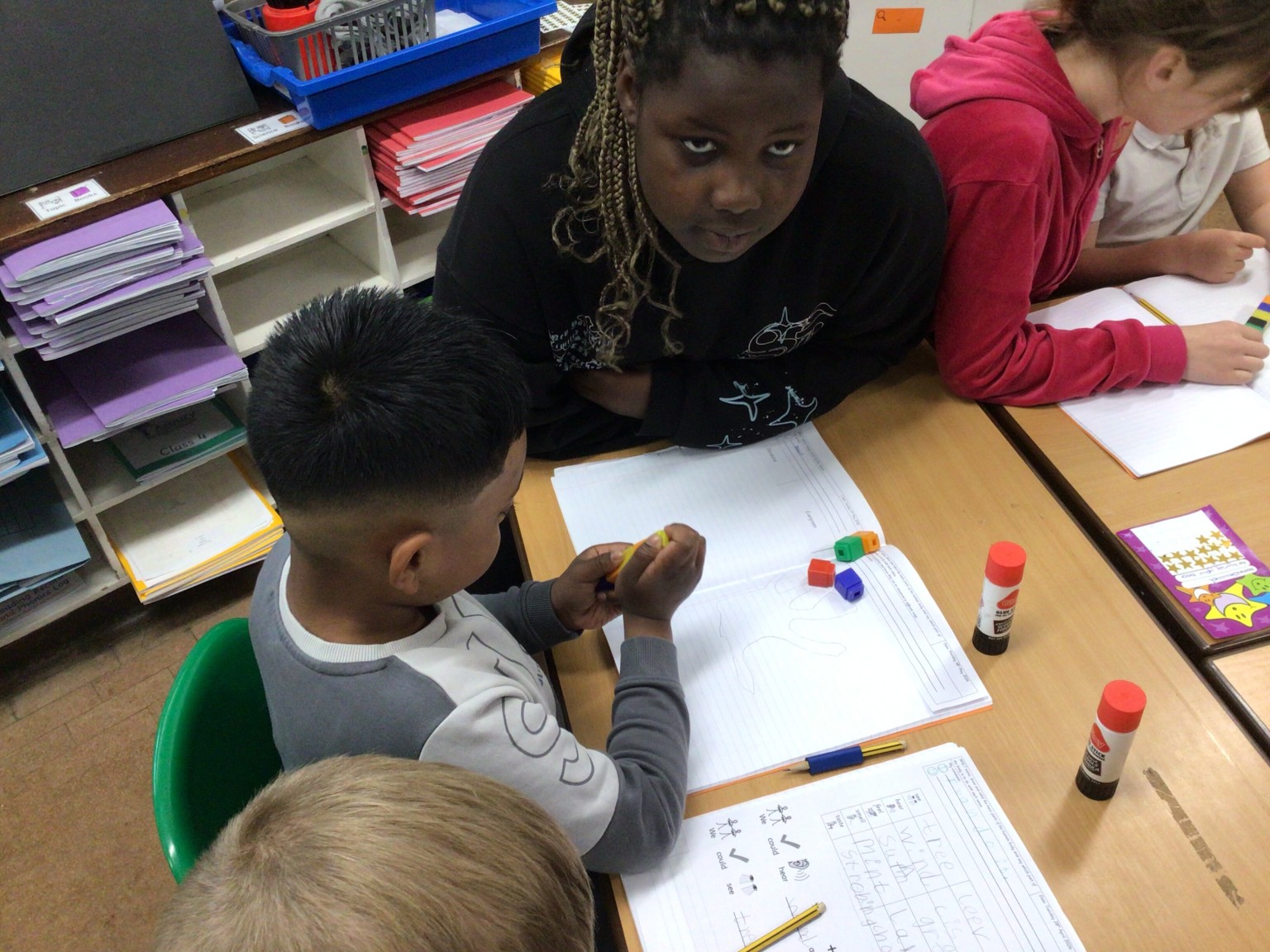 Year 1 Science Investigation 