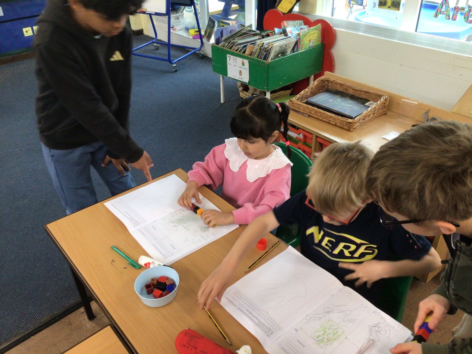 Year 1 Science Investigation 