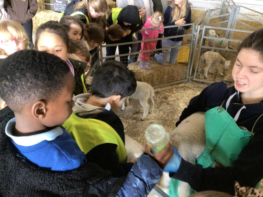 Class 6 Y2 Church Farm Trip