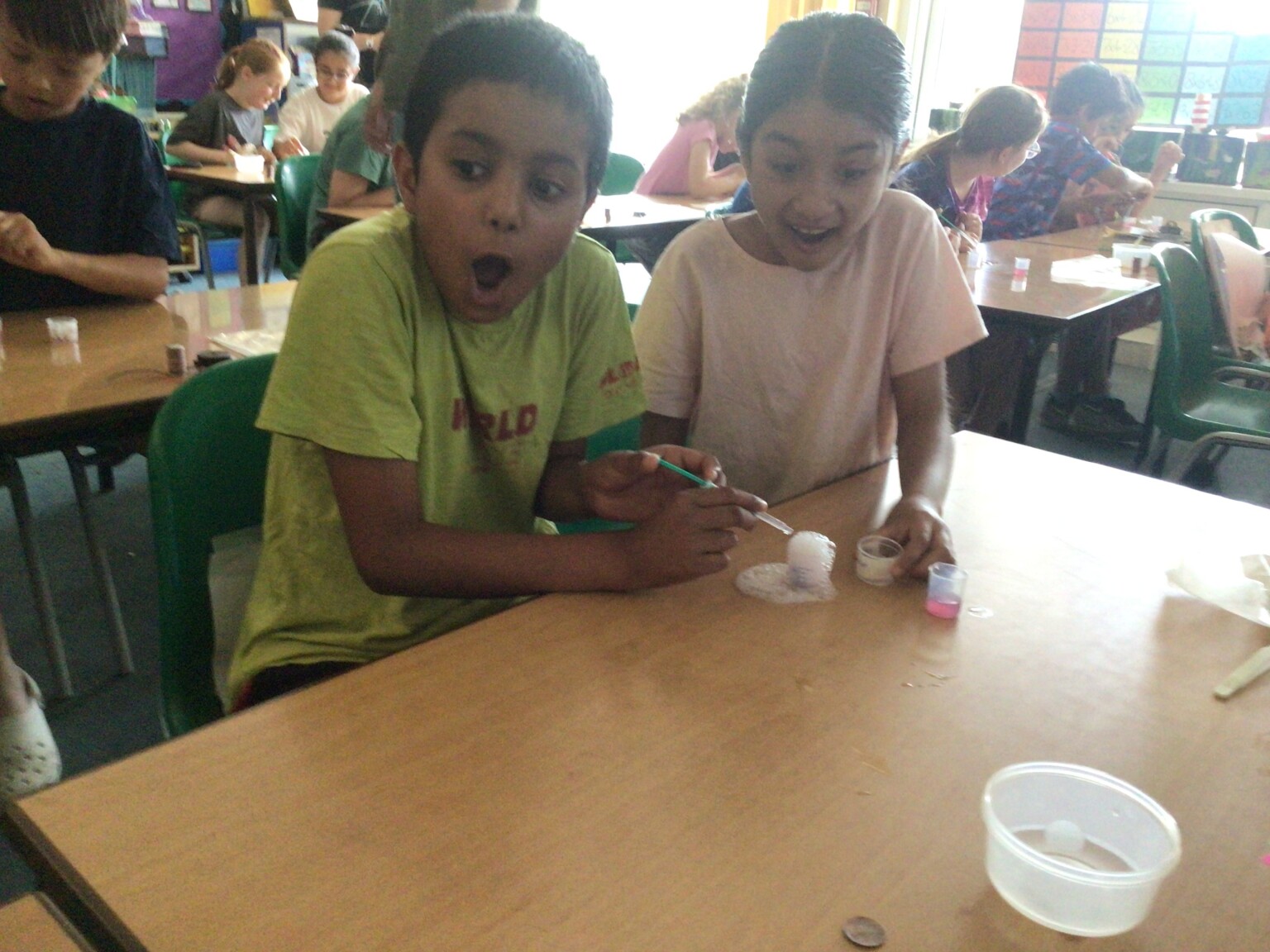 year 4 science