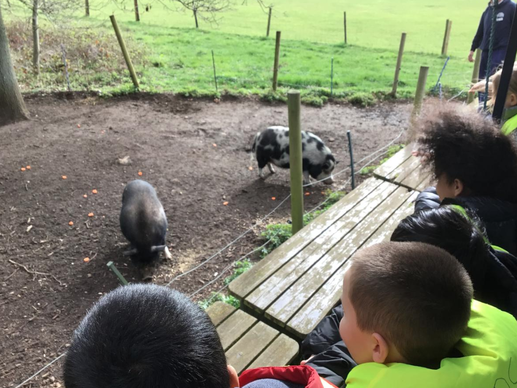 Class 5 Y2 Church Farm Trip
