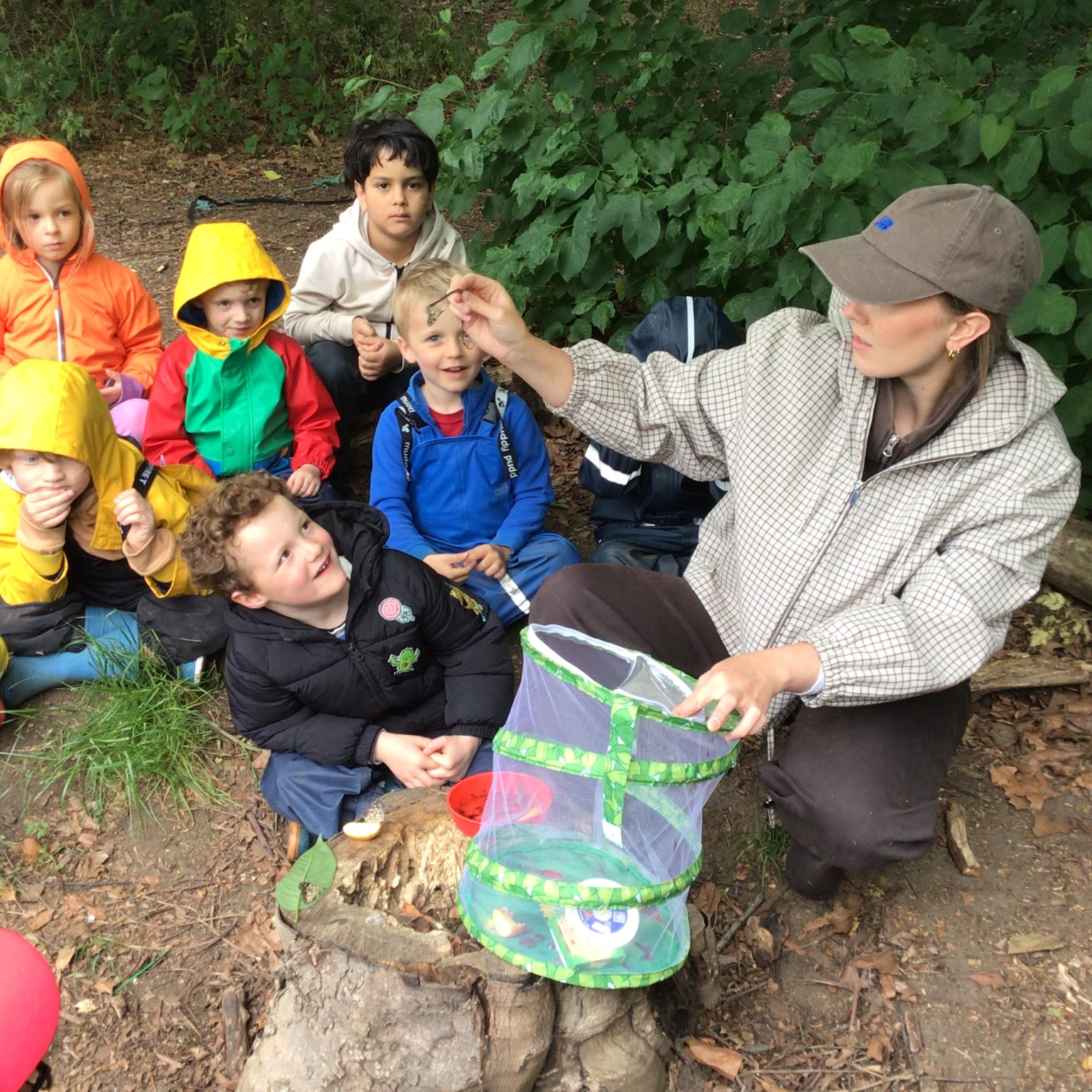 EYFS - Butterfly Release Day! 