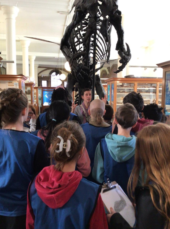 Year 6 visited the Museum of Zoology and the Sedgwick Museum