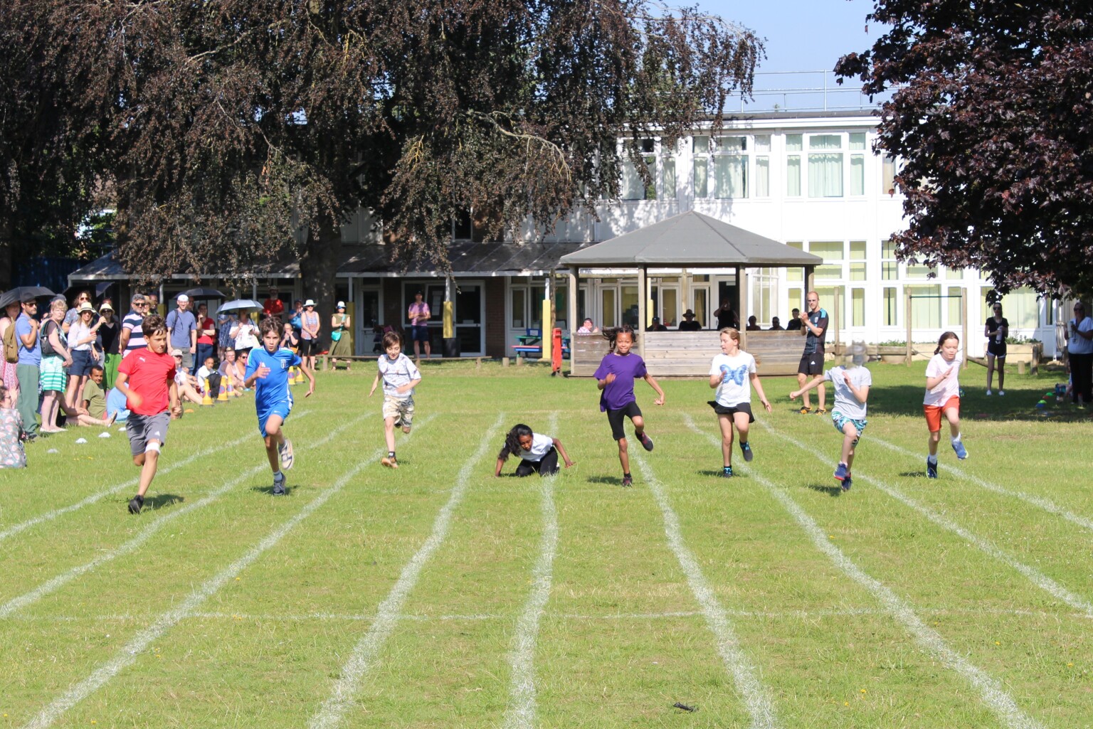 Year 5 and 6 spots day