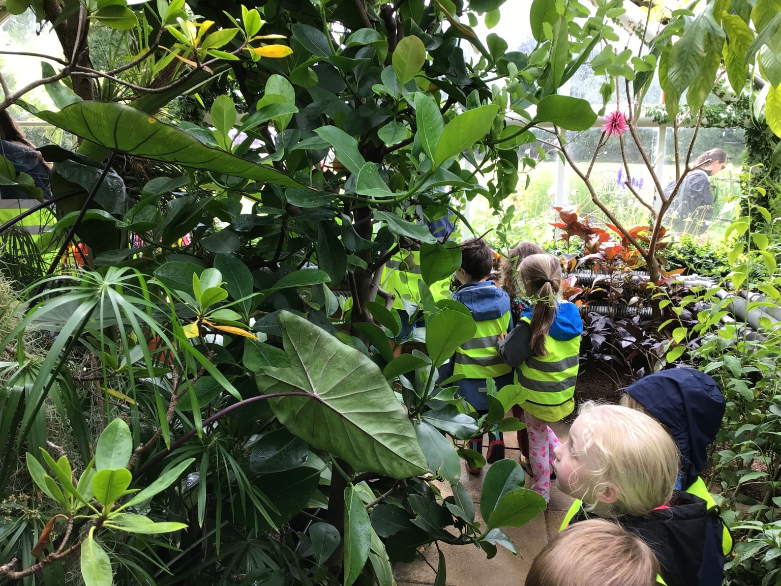 Botanic Gardens 