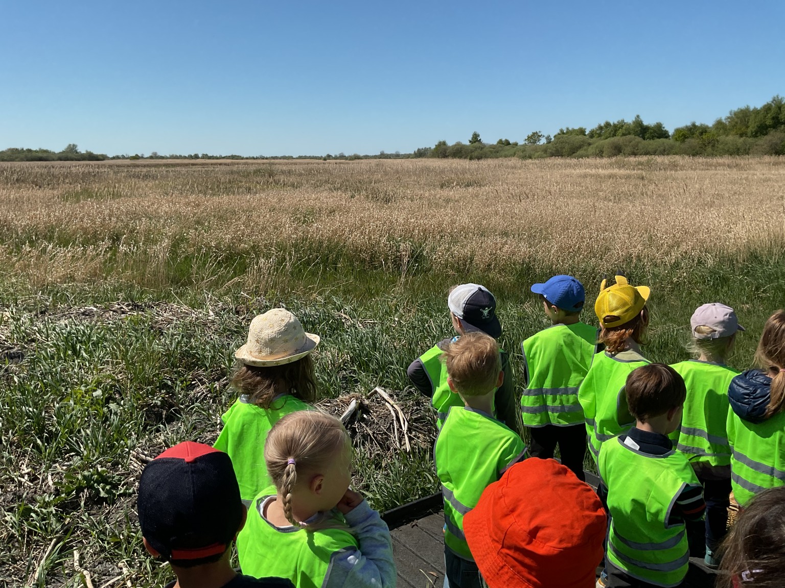 Wicken Fen EYFS
