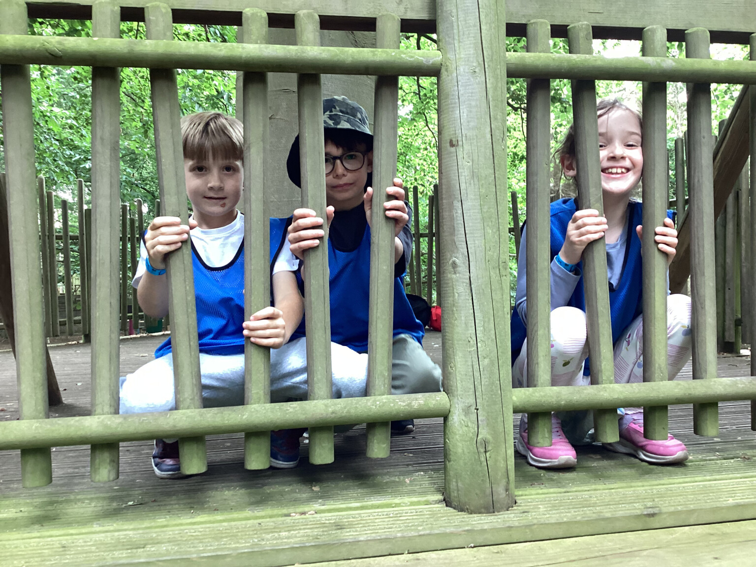 Bewilderwood