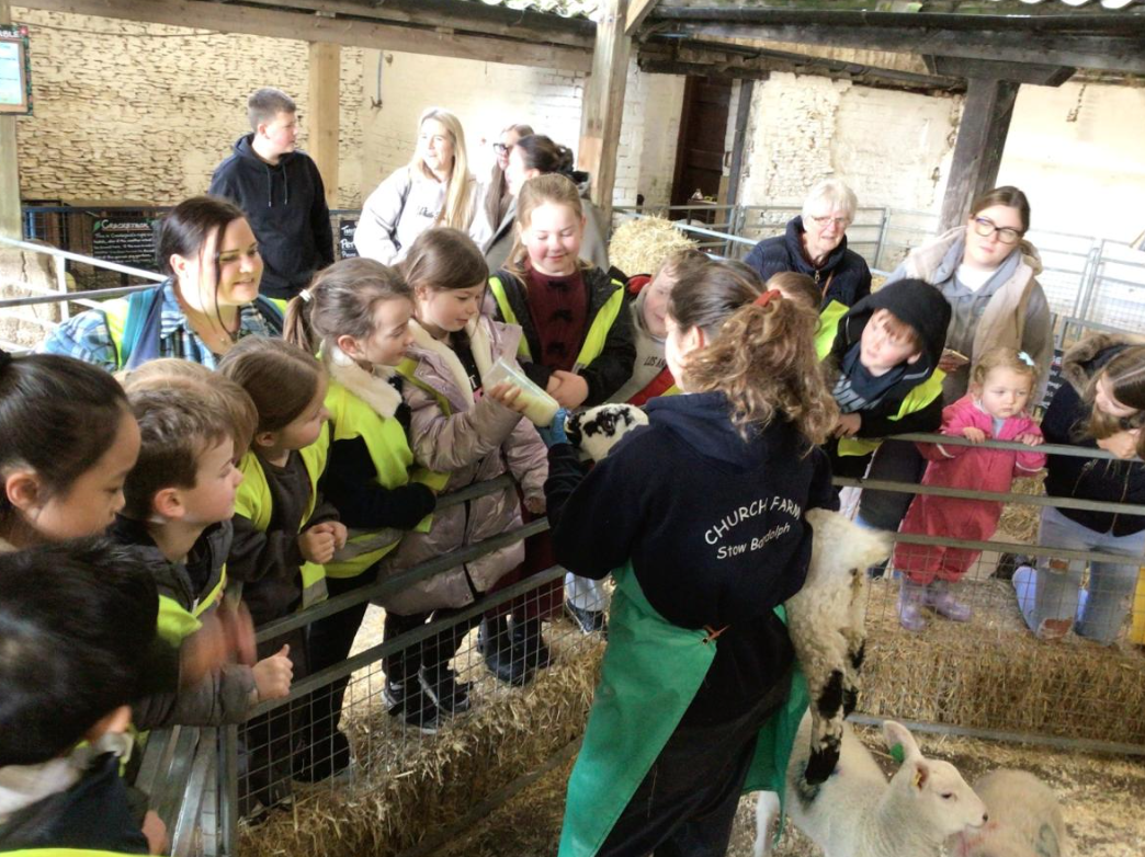 Class 6 Y2 Church Farm Trip