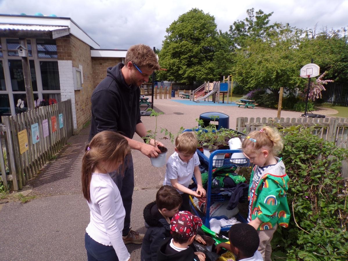 Mr Sapsford running Gardening Club during lunch playtime. 