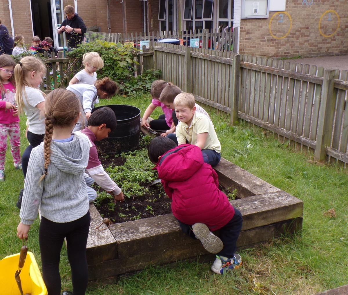 Mr Sapsford running Gardening Club during lunch playtime. 