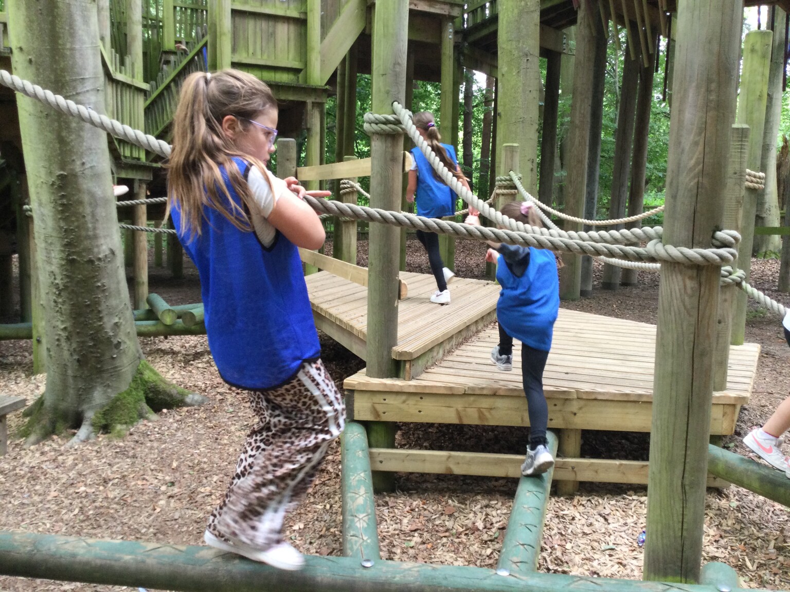 Bewilderwood