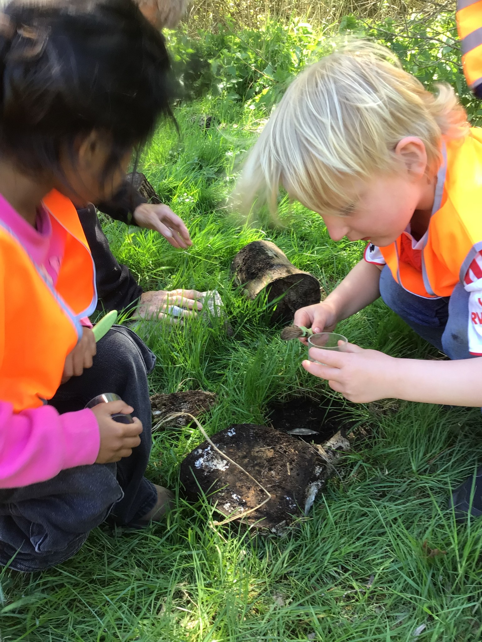 Wicken Fen EYFS