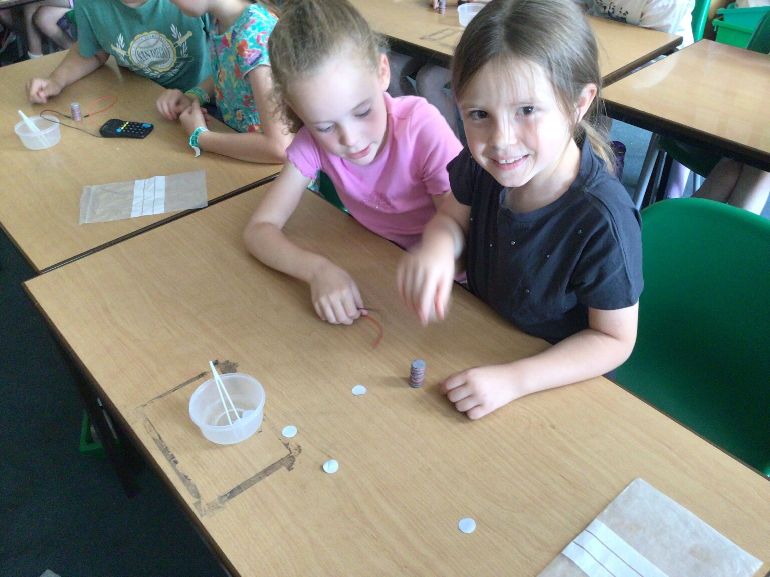 year 4 science
