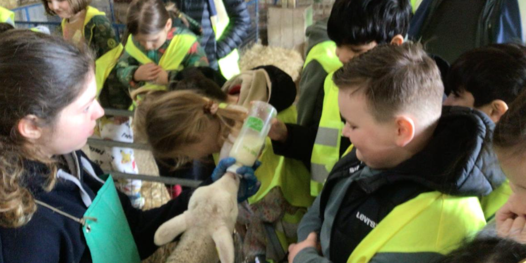 Y2 Church Farm Trip
