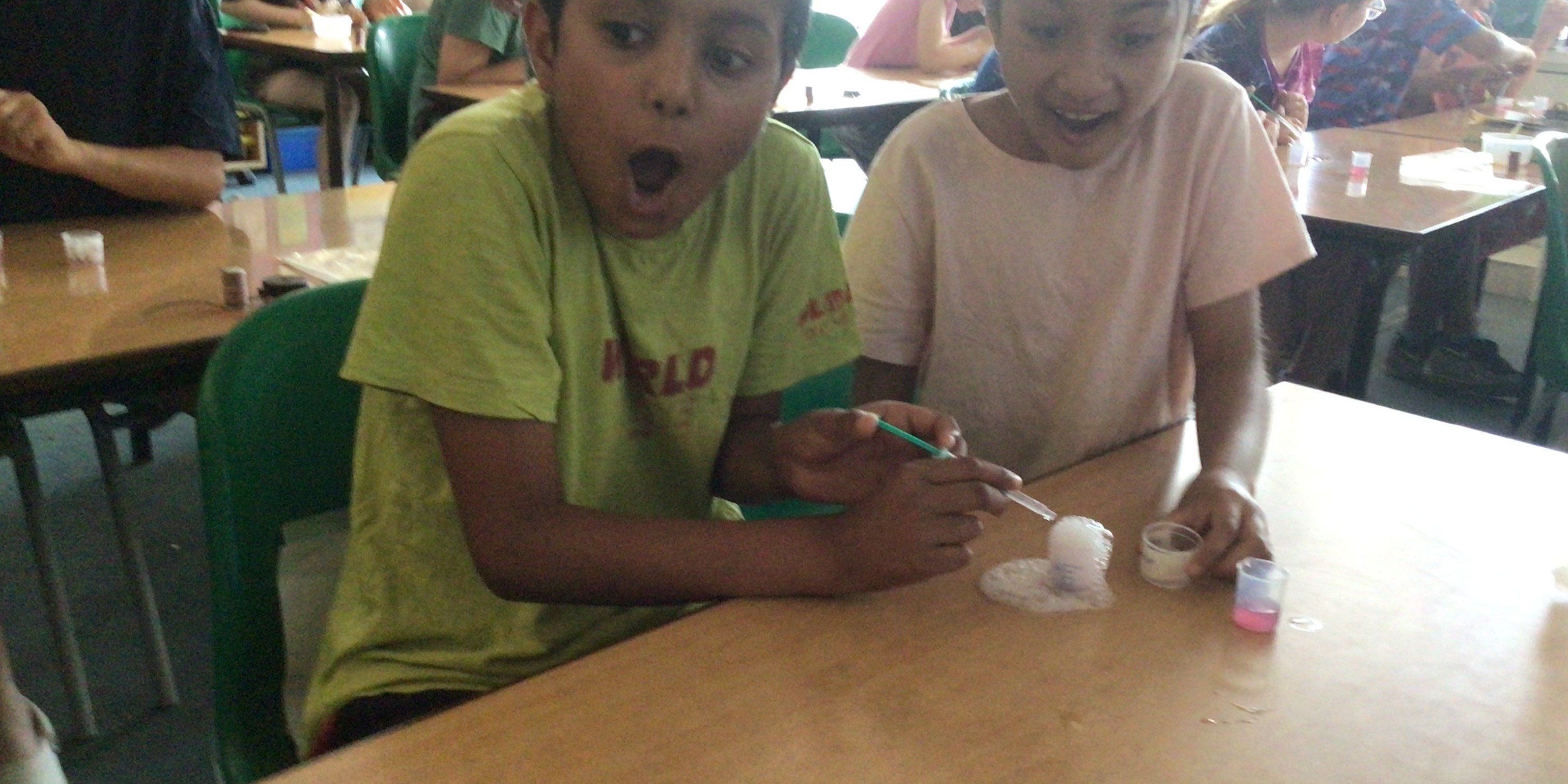 Year 4 Science Workshop