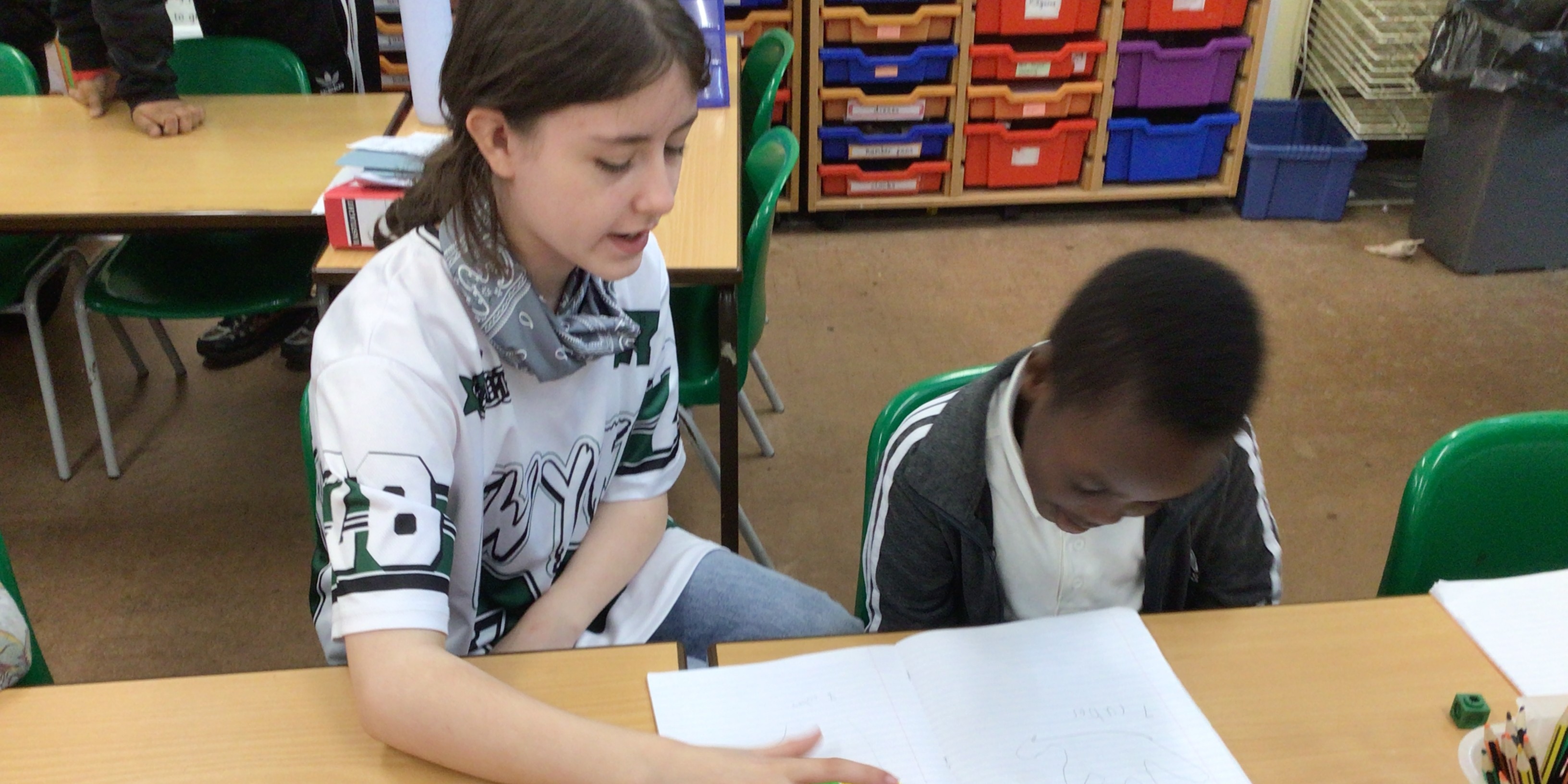 Year 1 Science Investigation (with support from Year 6)
