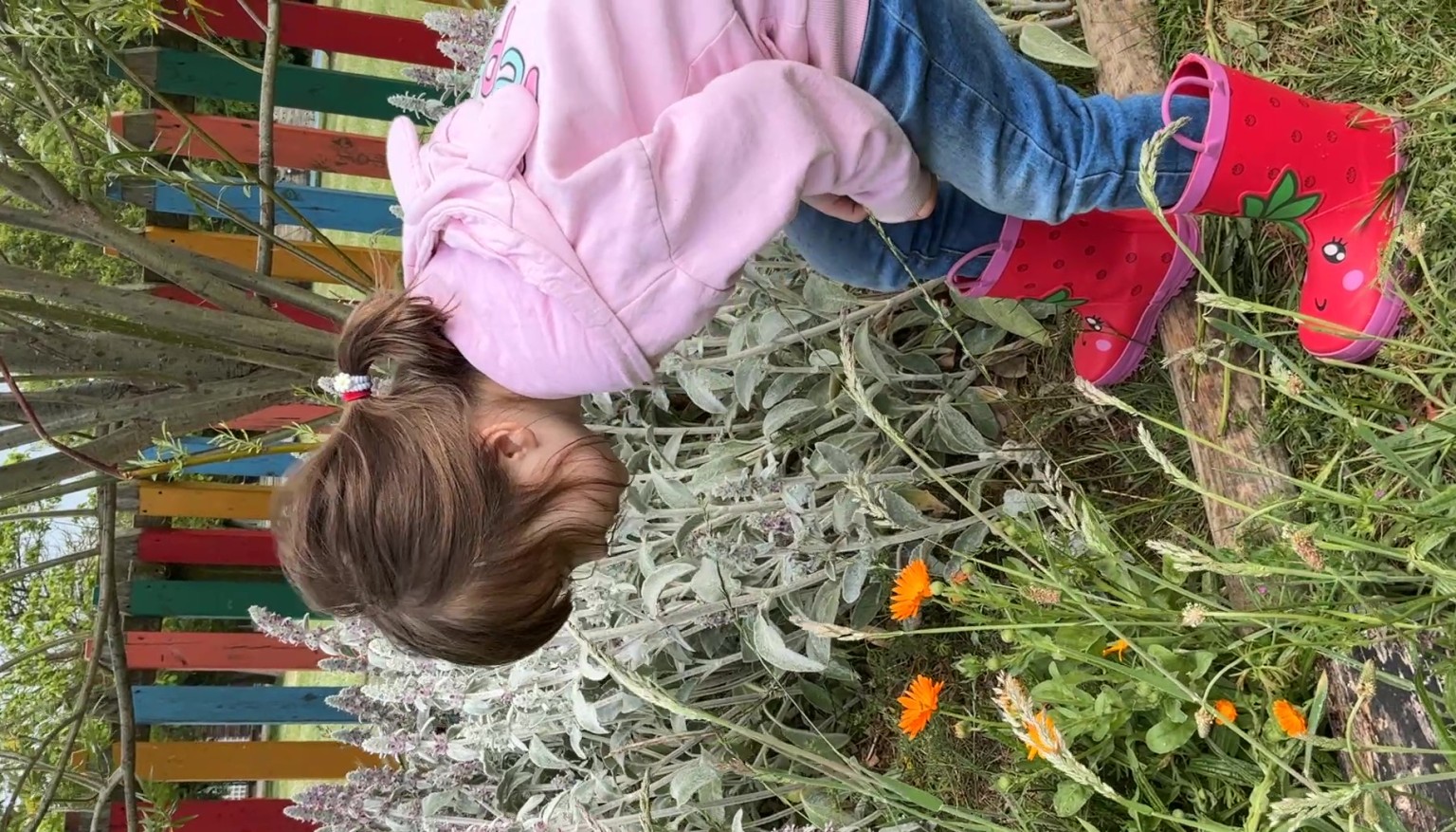 forest school