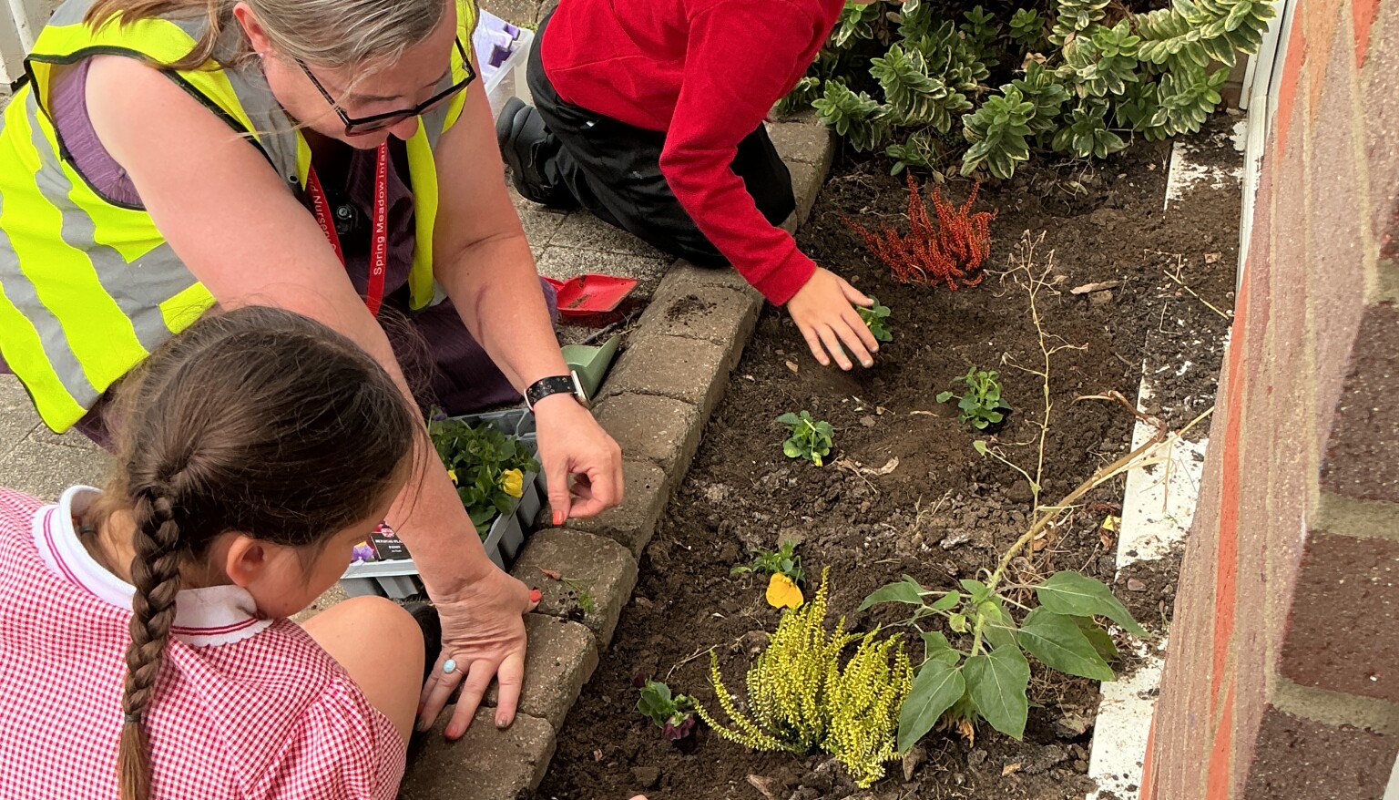 Planting
