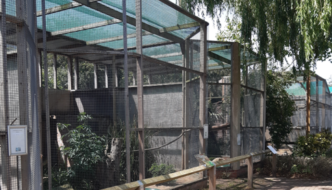 aviaries