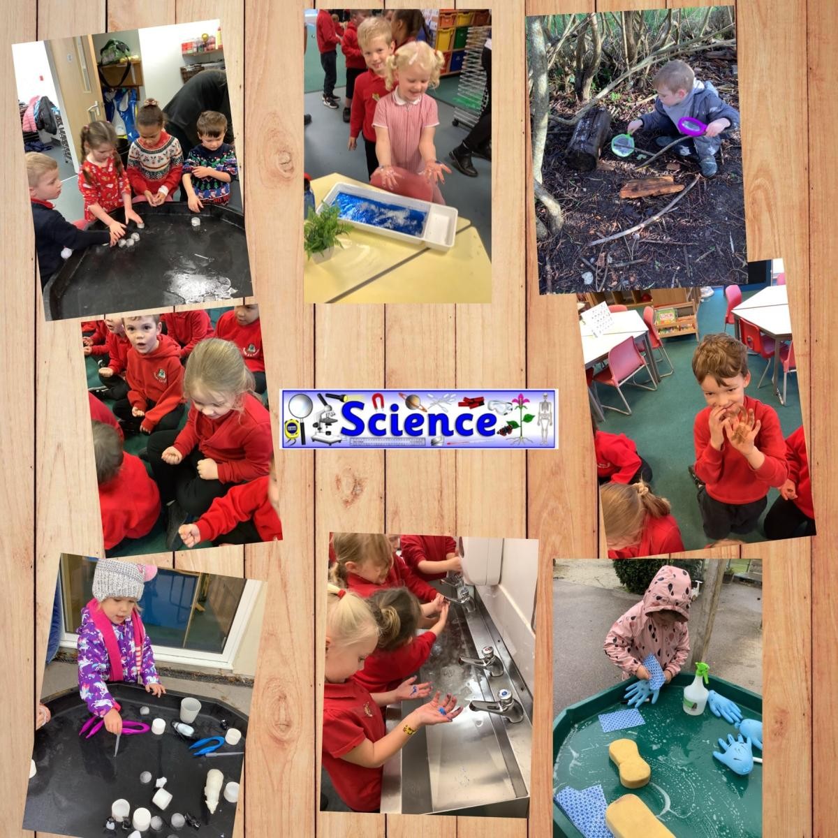 Science - Understanding the World