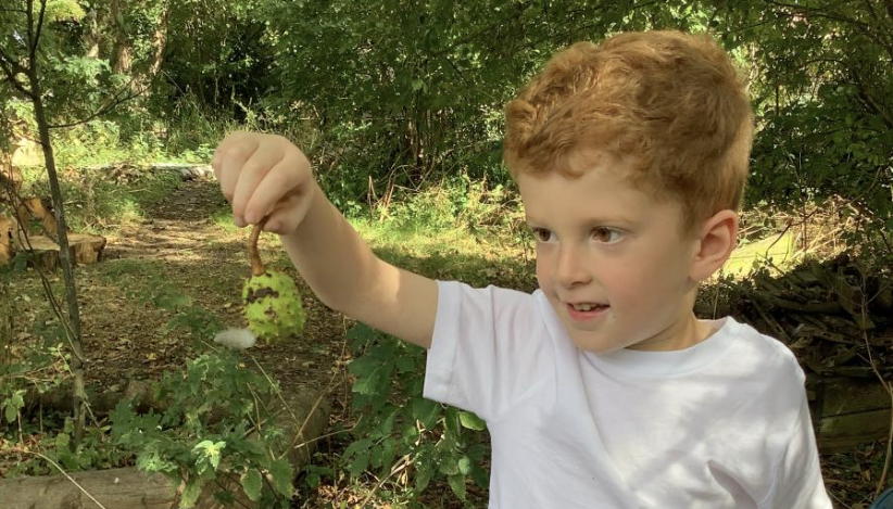 Child holding up a conker in its shell 