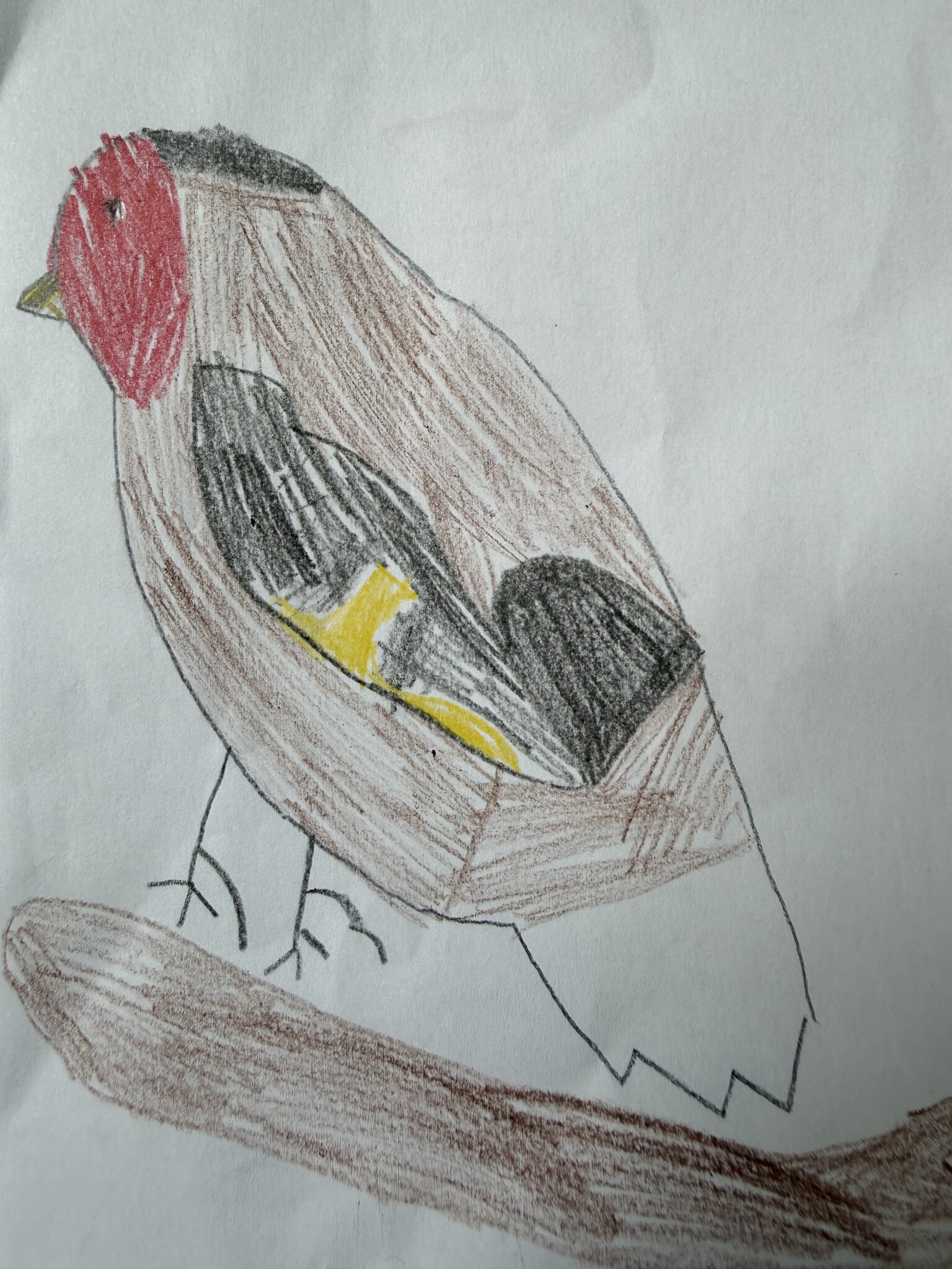 Goldfinch