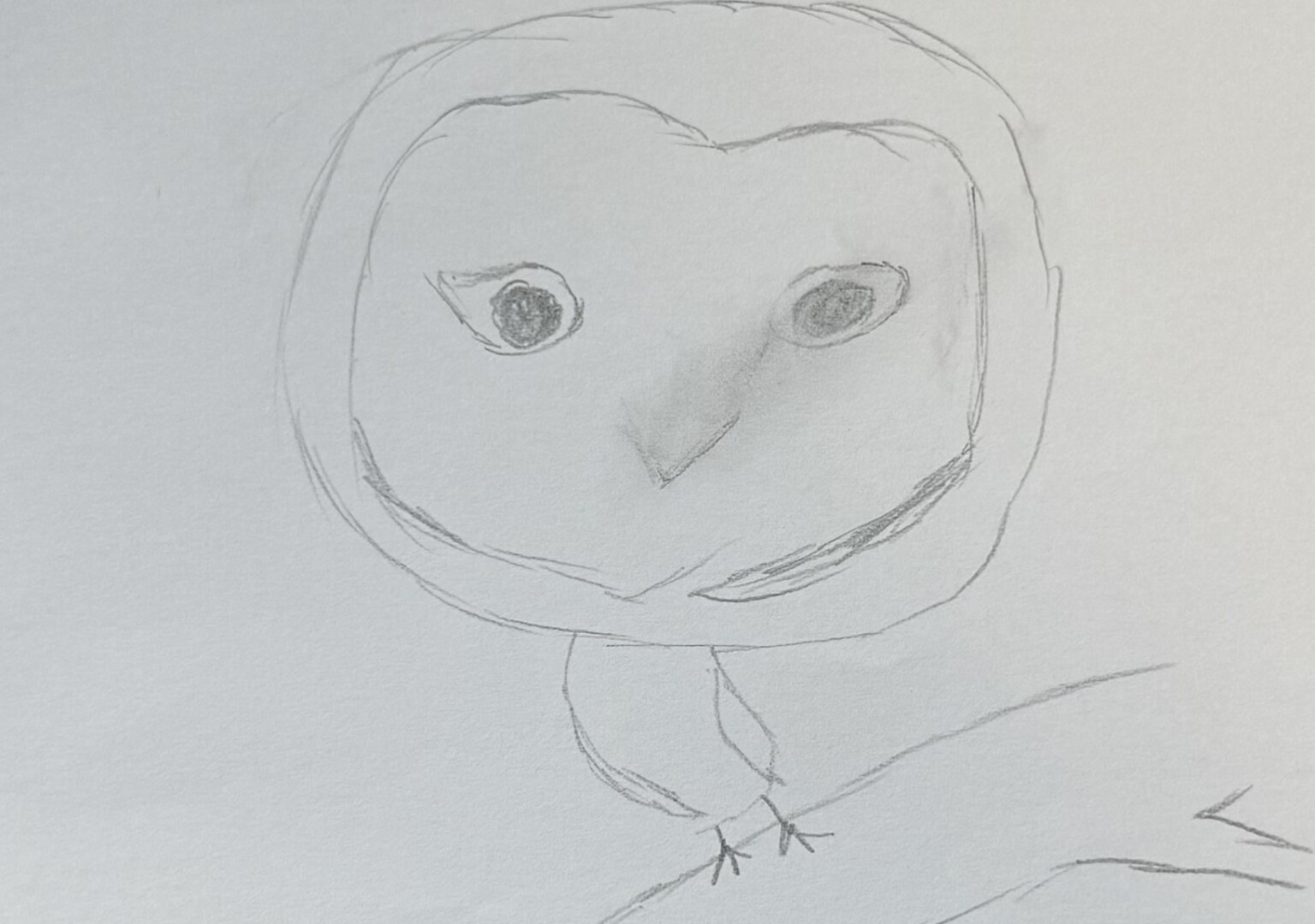 Owls