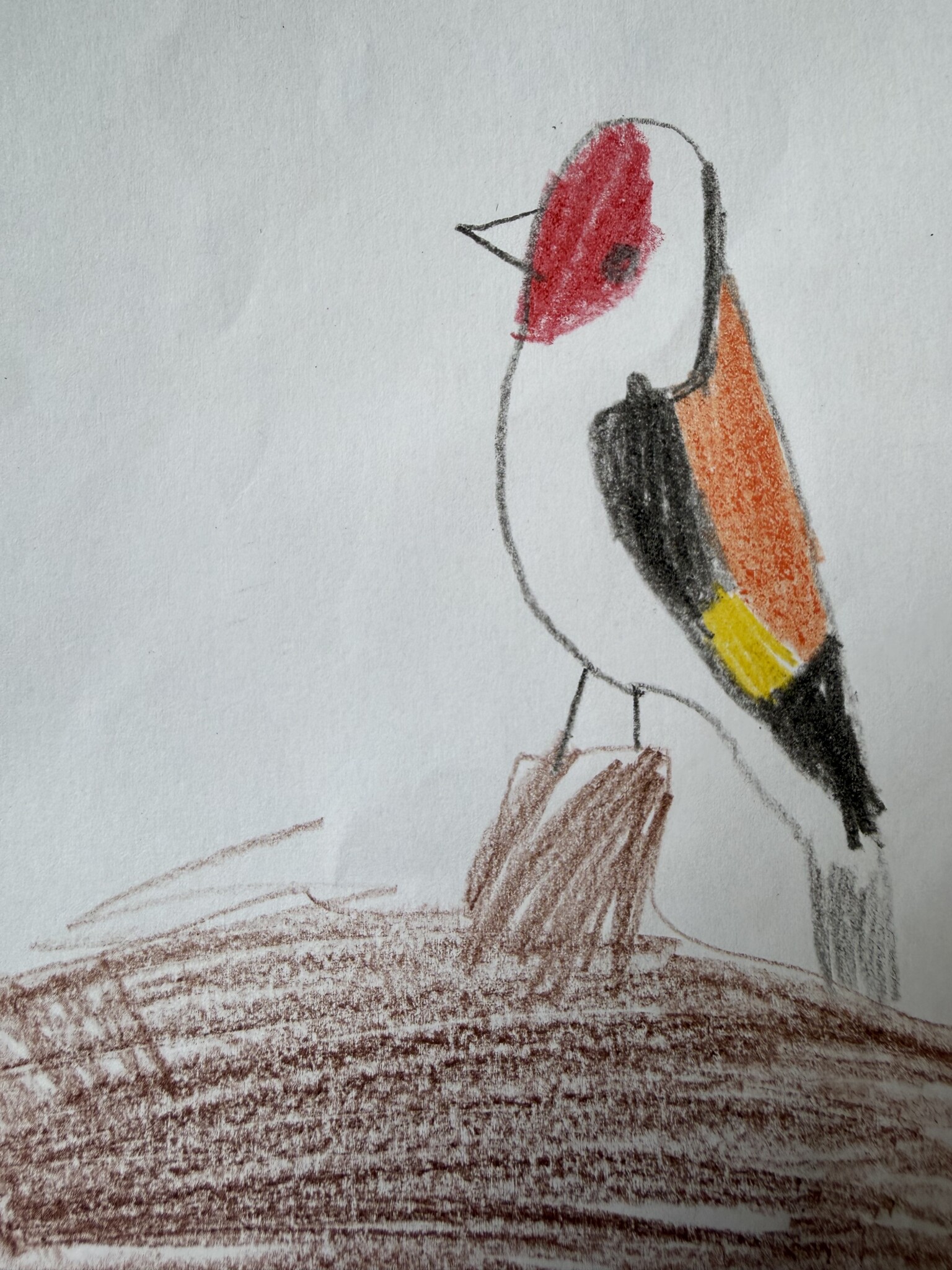 Goldfinch