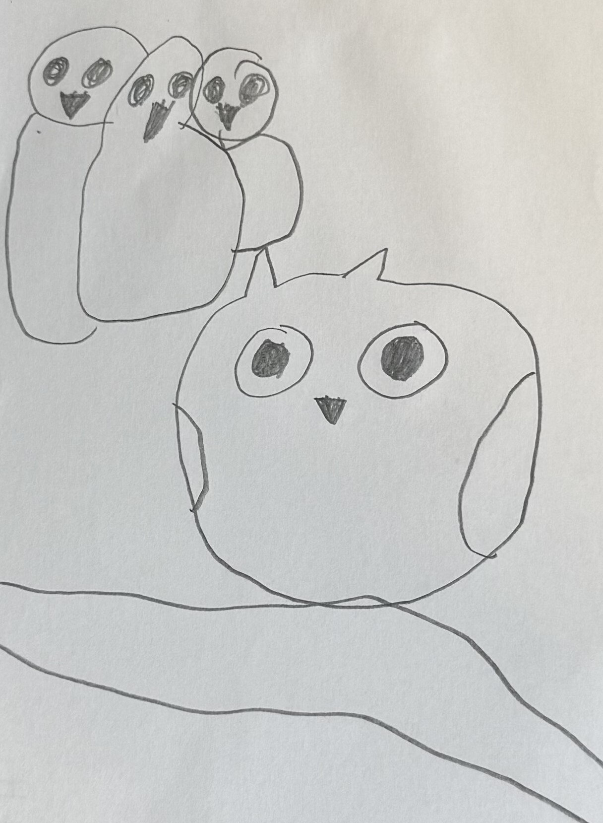 Owls