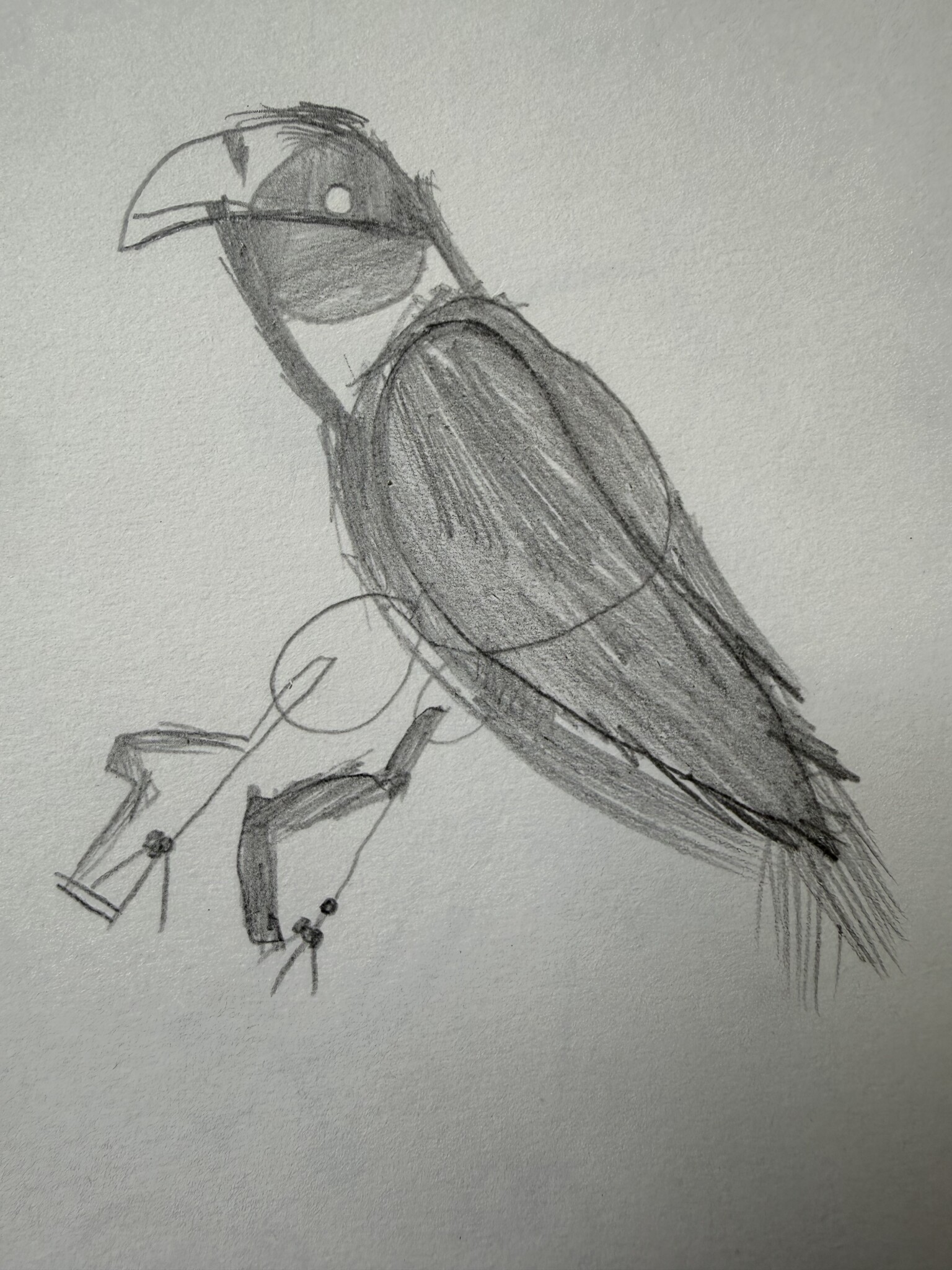 Starling