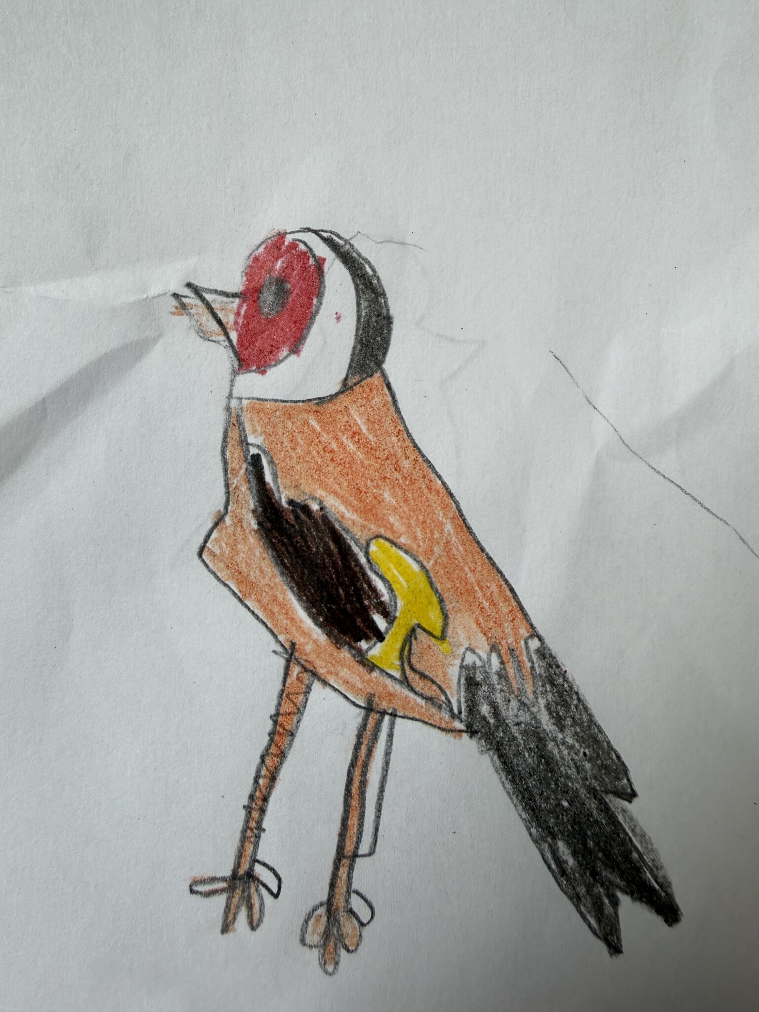 Goldfinch