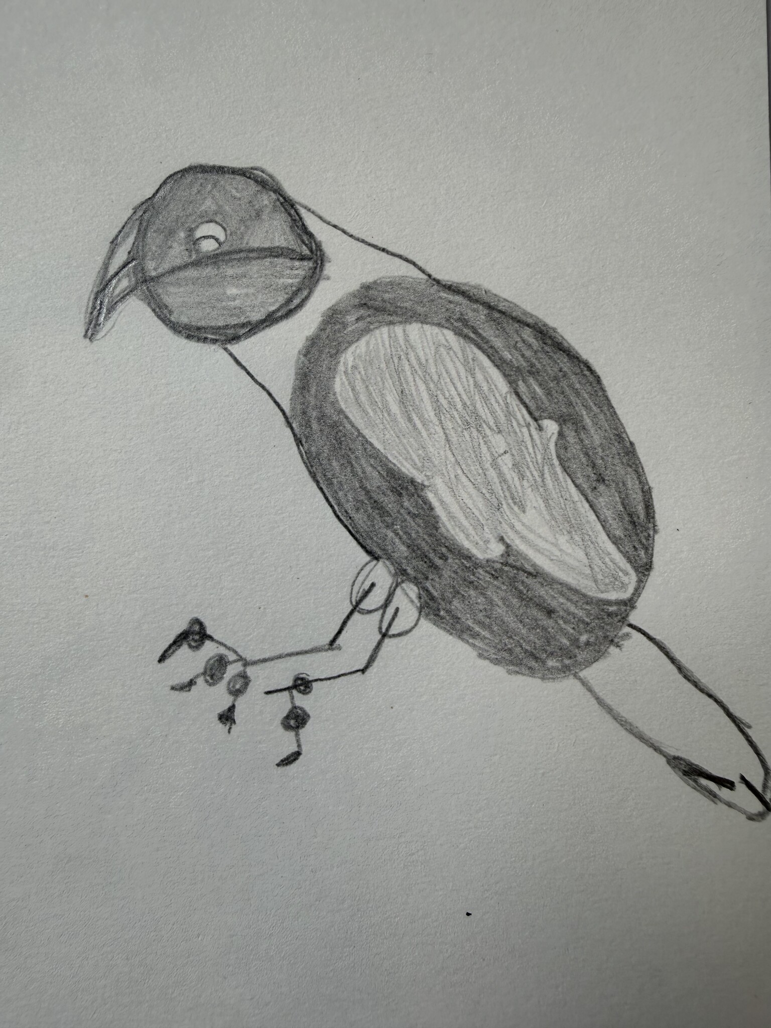 Starling
