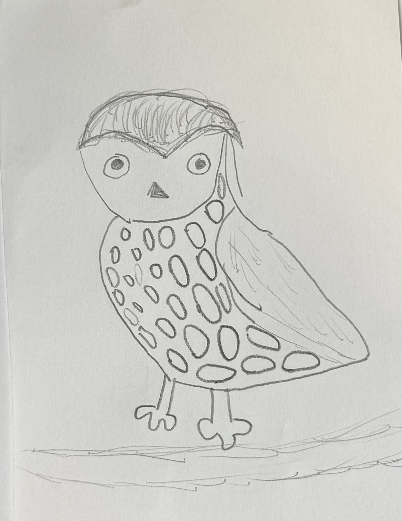 Owls