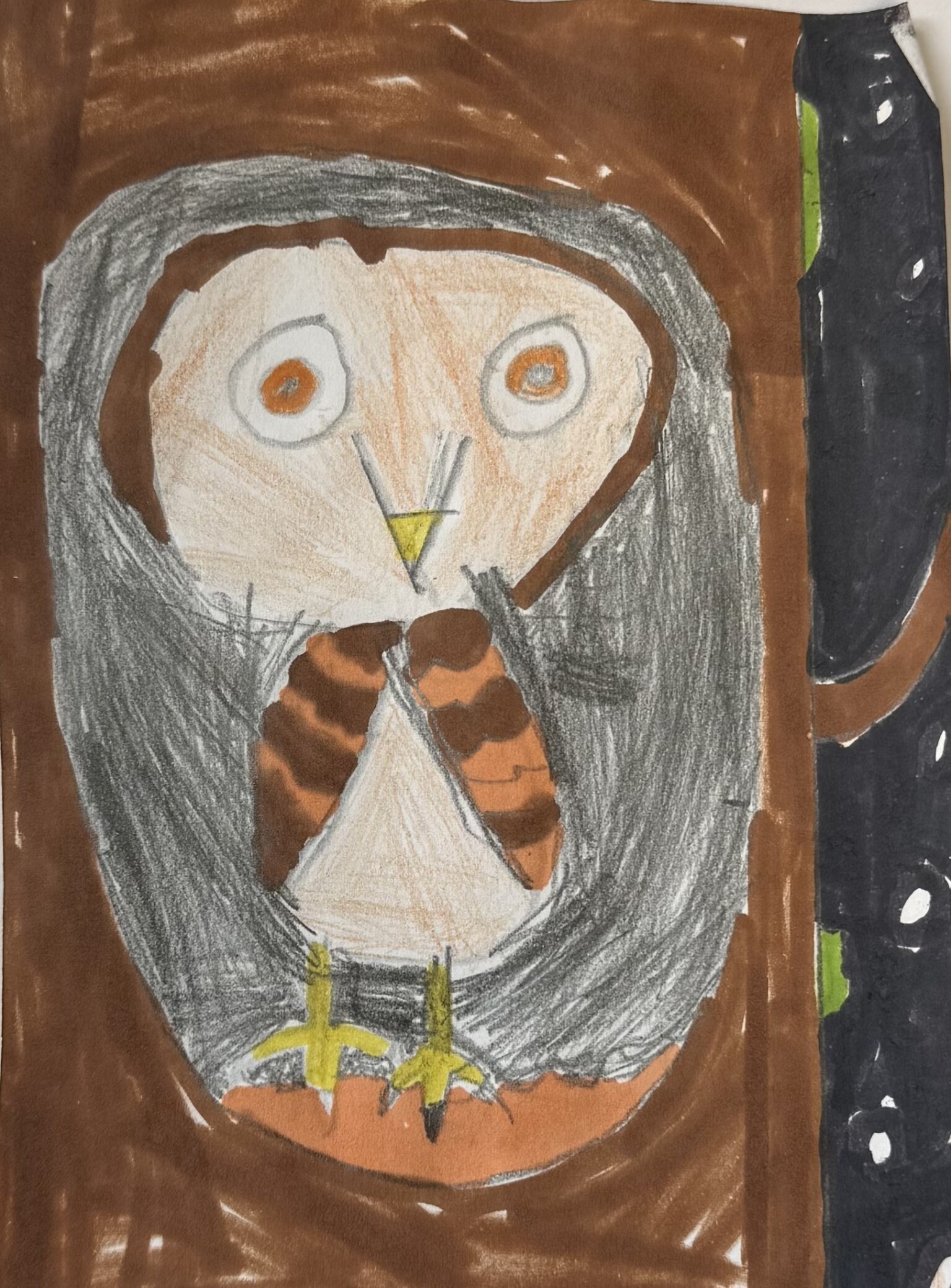 Owls