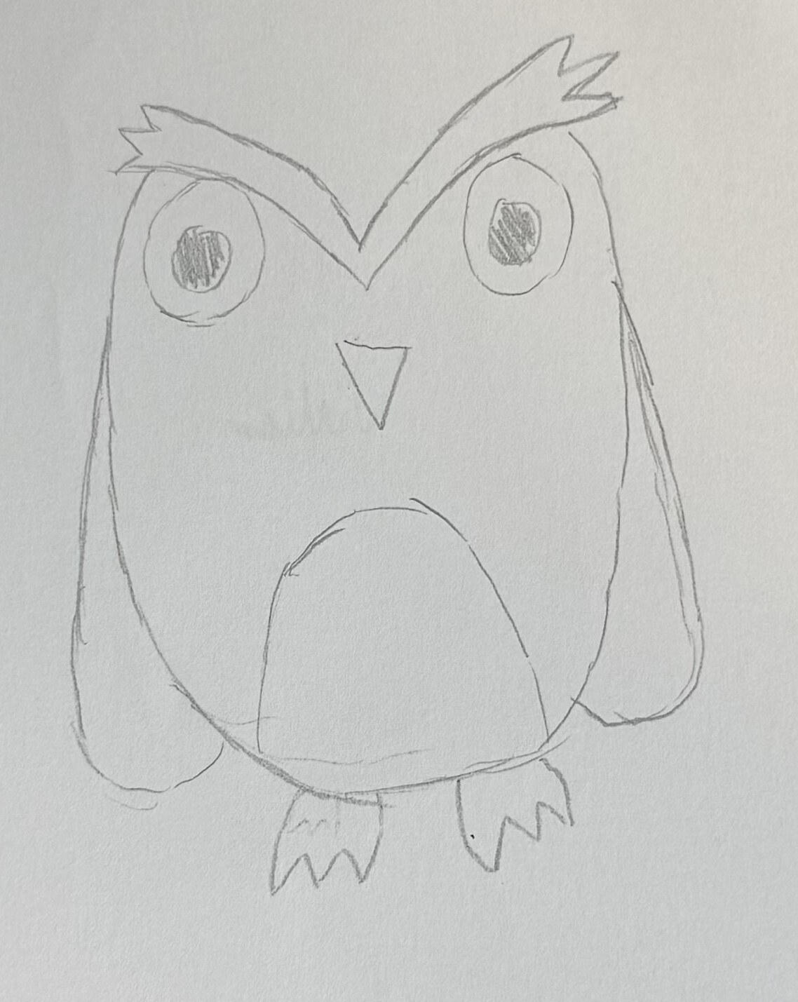 Owls