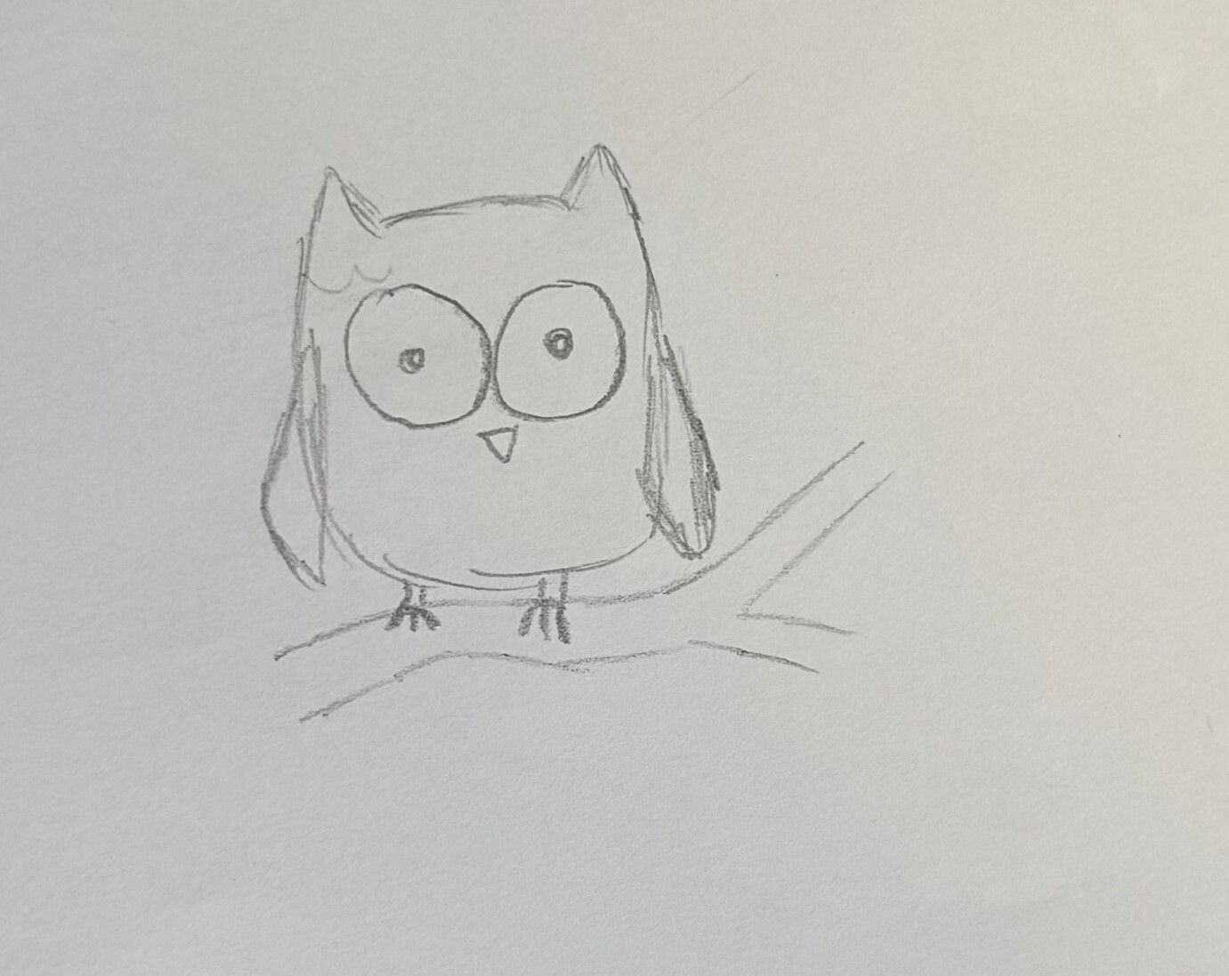 Owls
