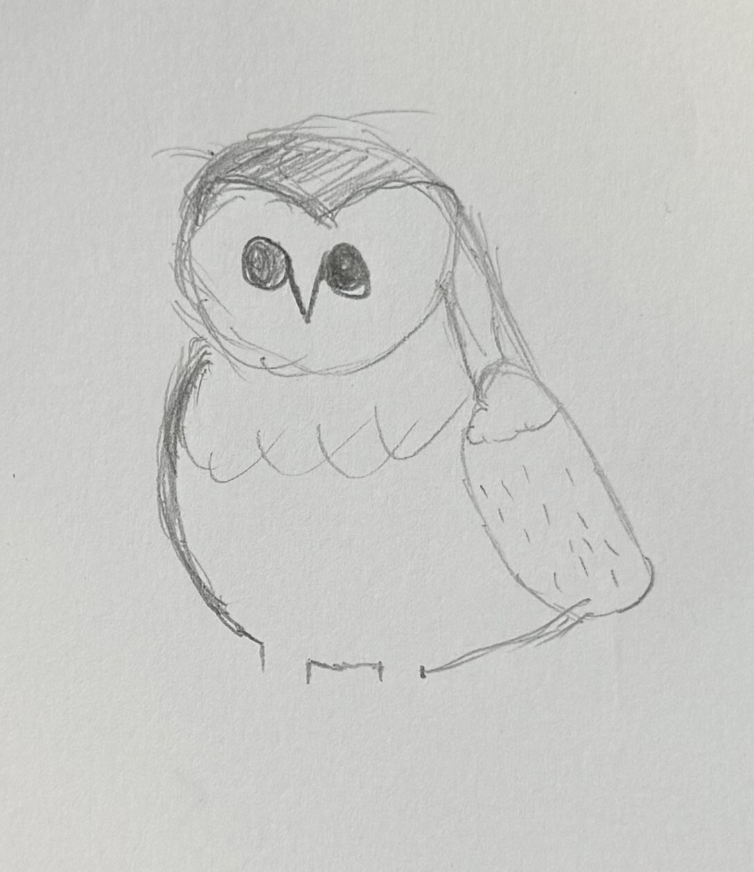 Owls