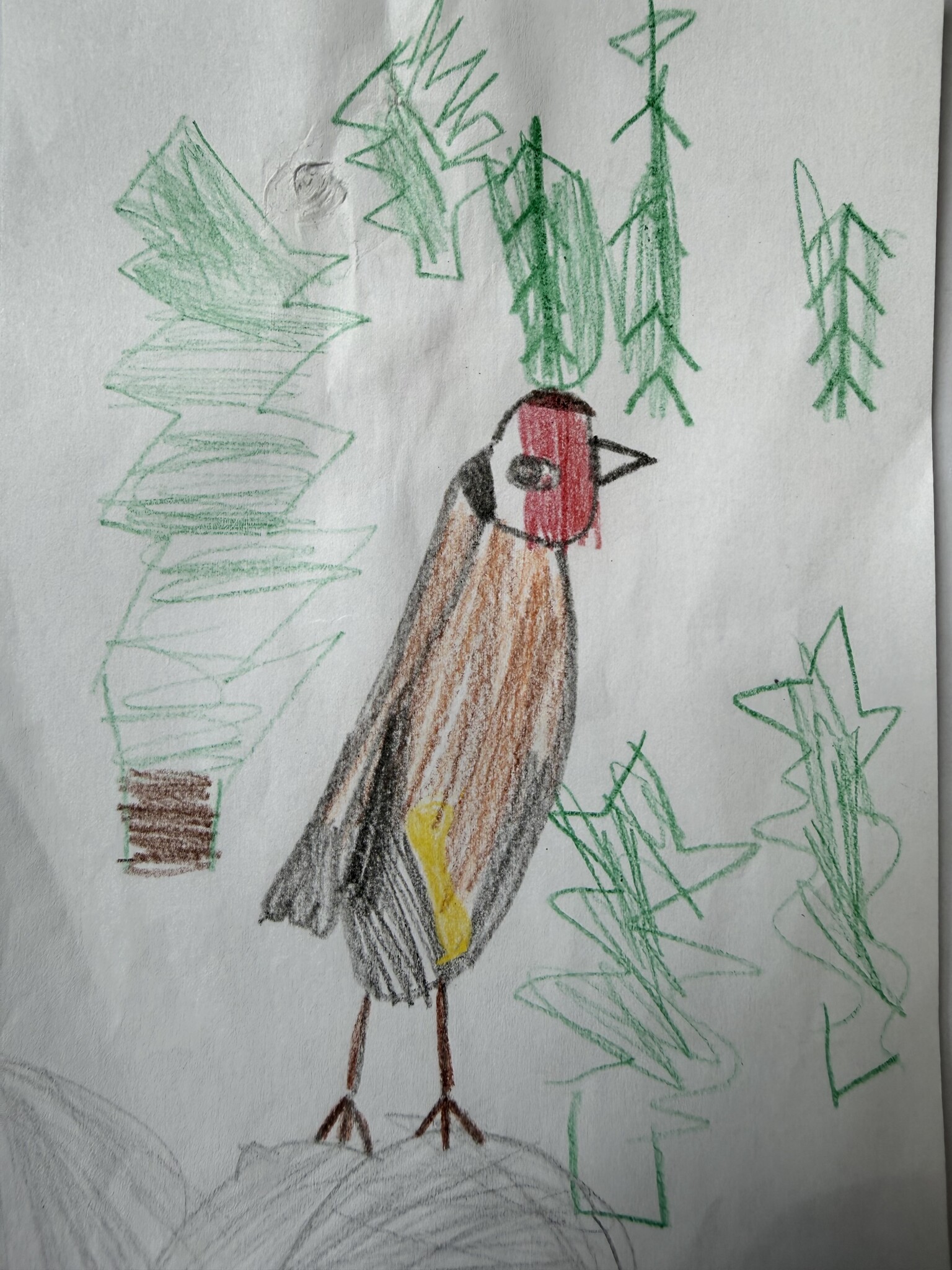 Goldfinch