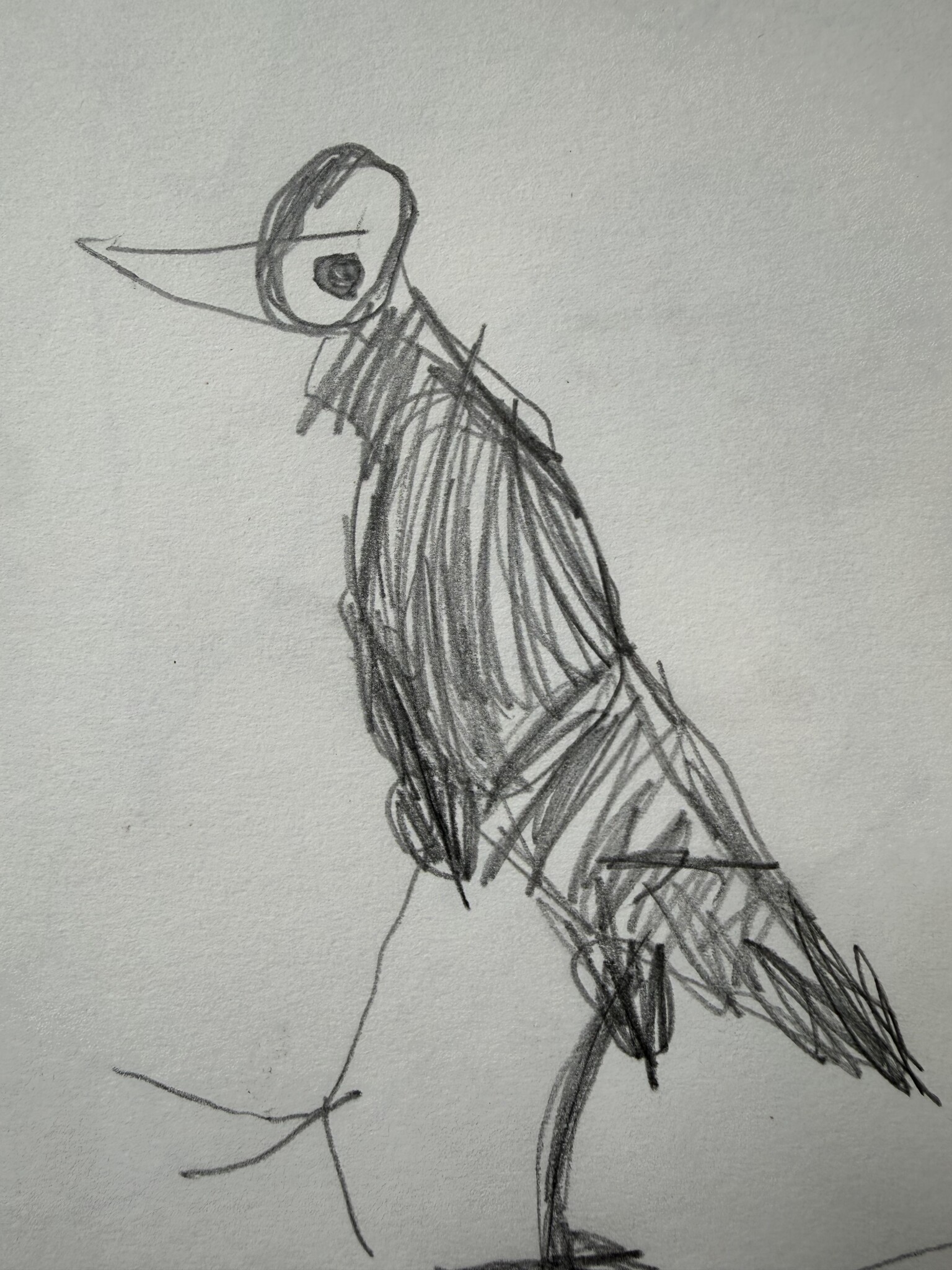 Starling