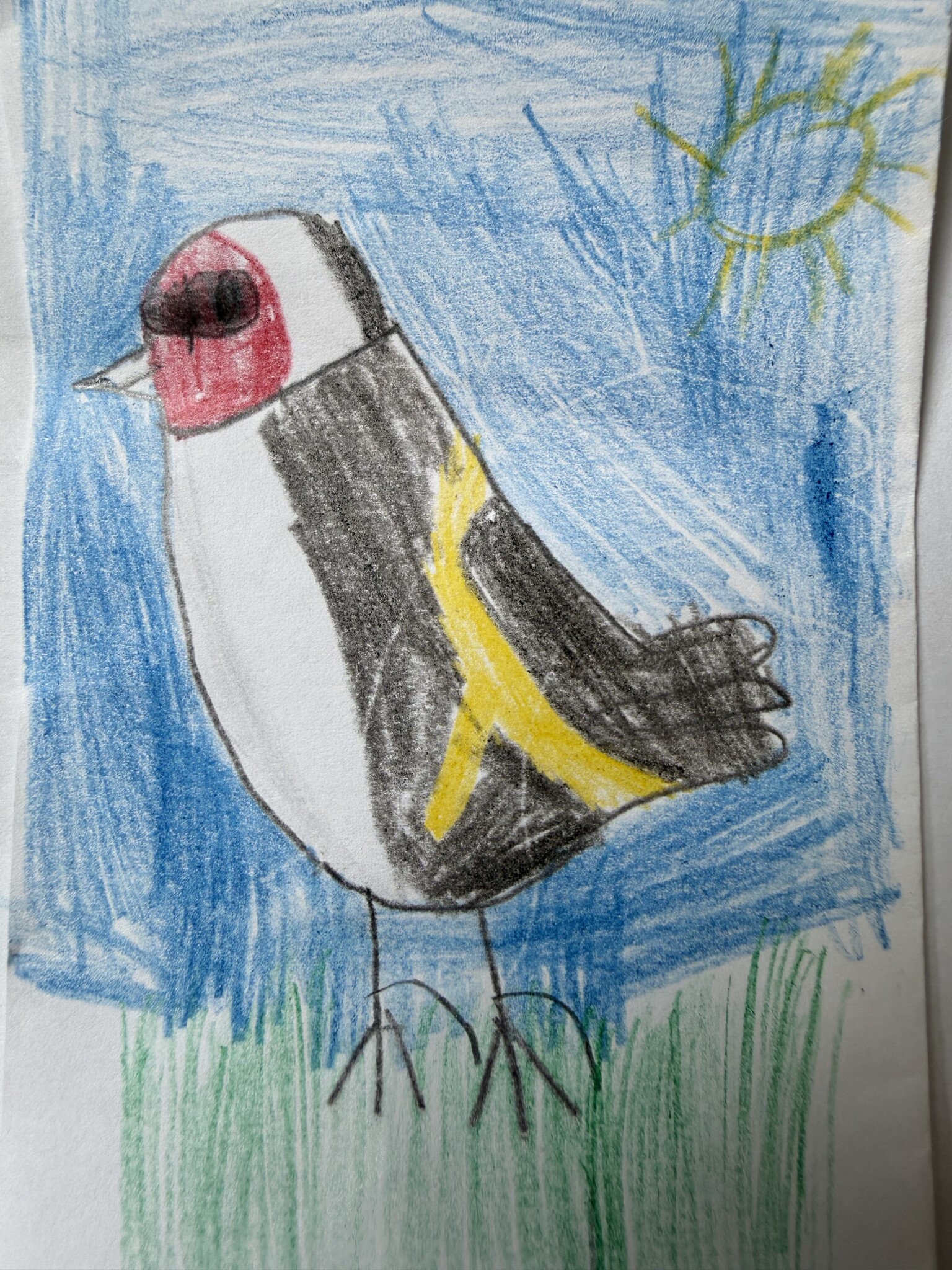 Goldfinch