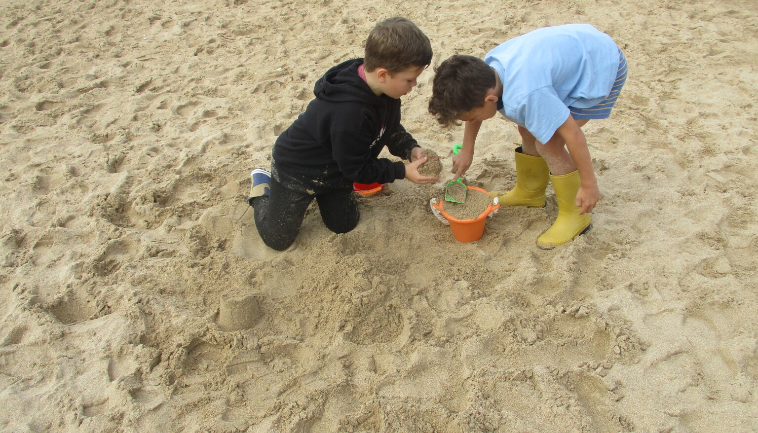 Wildtribe at the beach