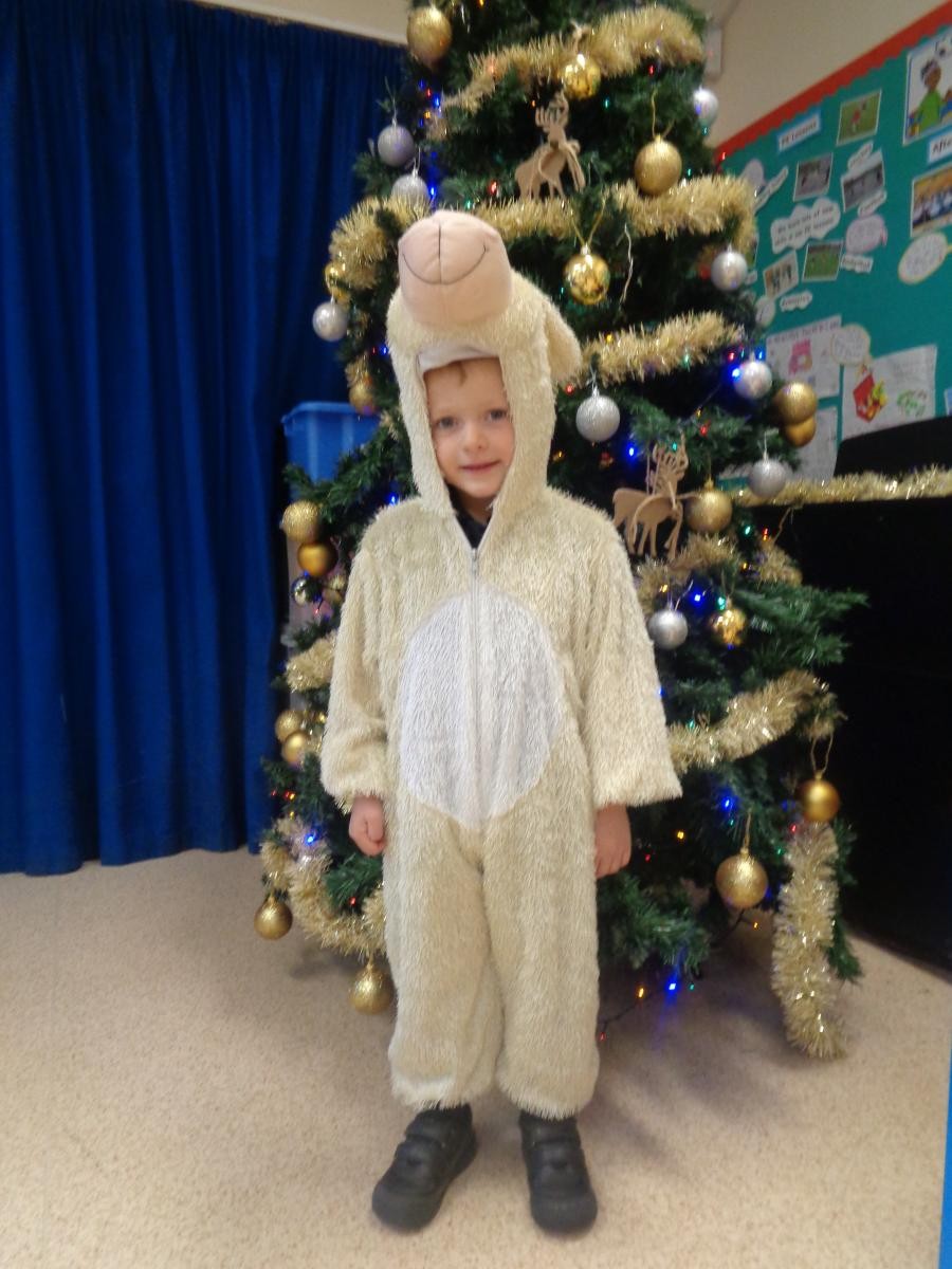 Reggie was a brilliant sheep and he was great at his lines.