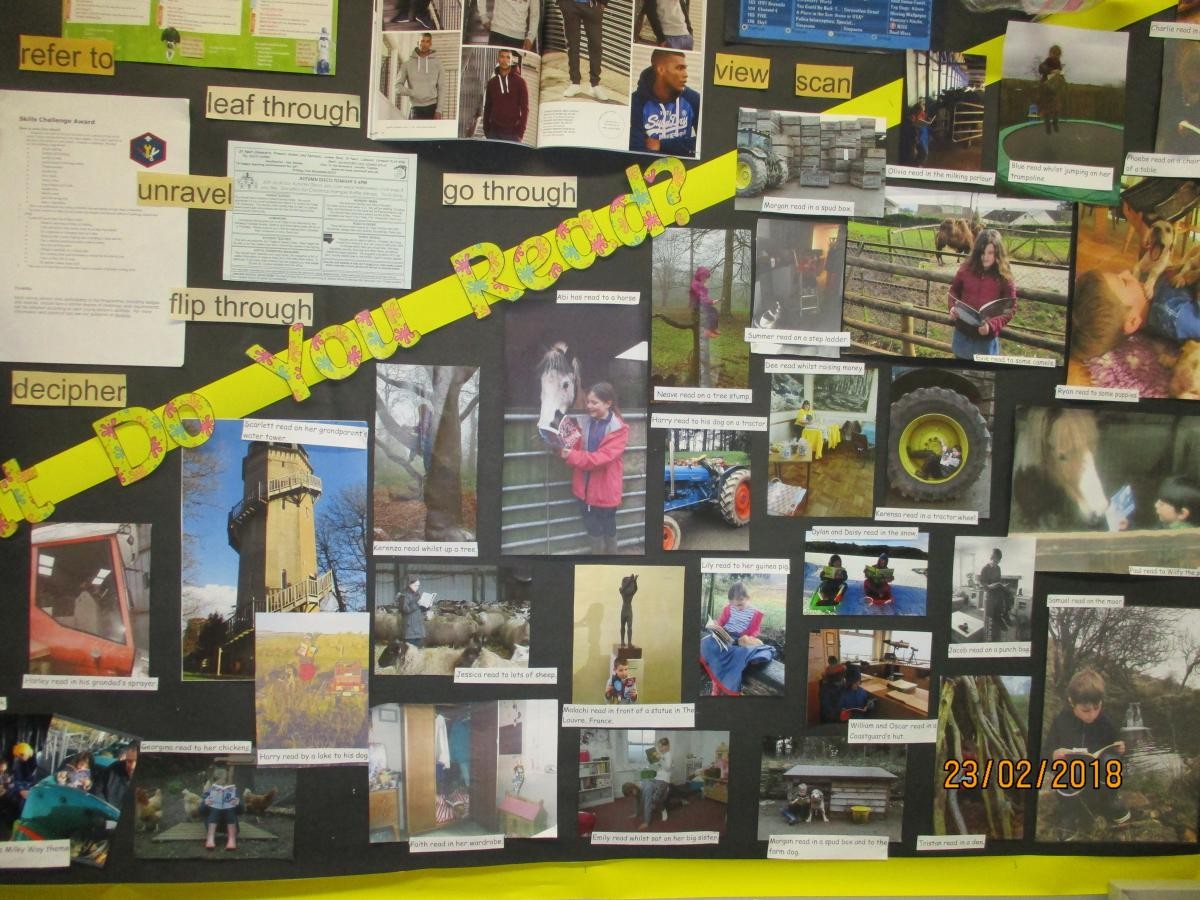 We had a challenge to see who could read in the most unusual place. 