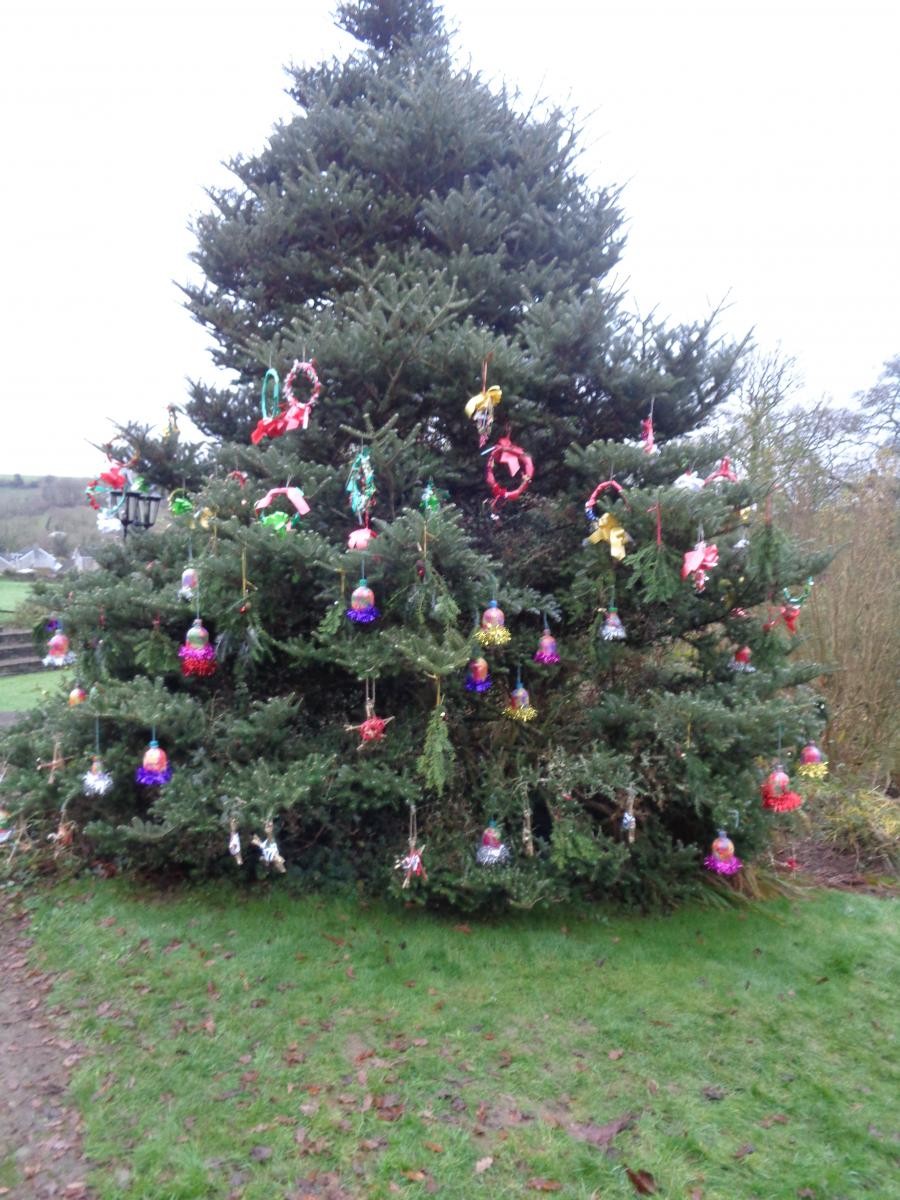 Decorating the village tree for everyone to enjoy