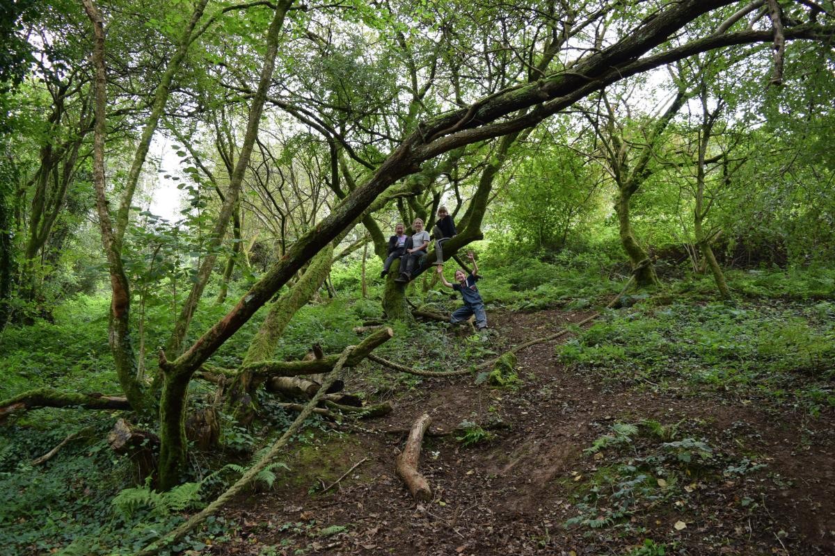 September 2023 Wild Tribe