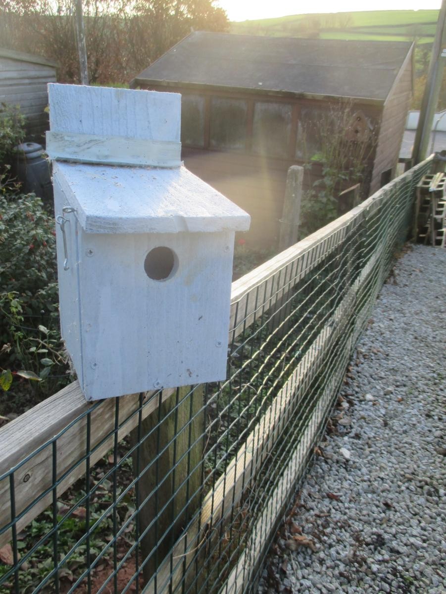 We made bird boxes with members of our local community.