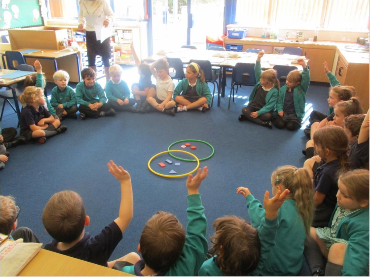 We sorted shapes into a Venn diagram.