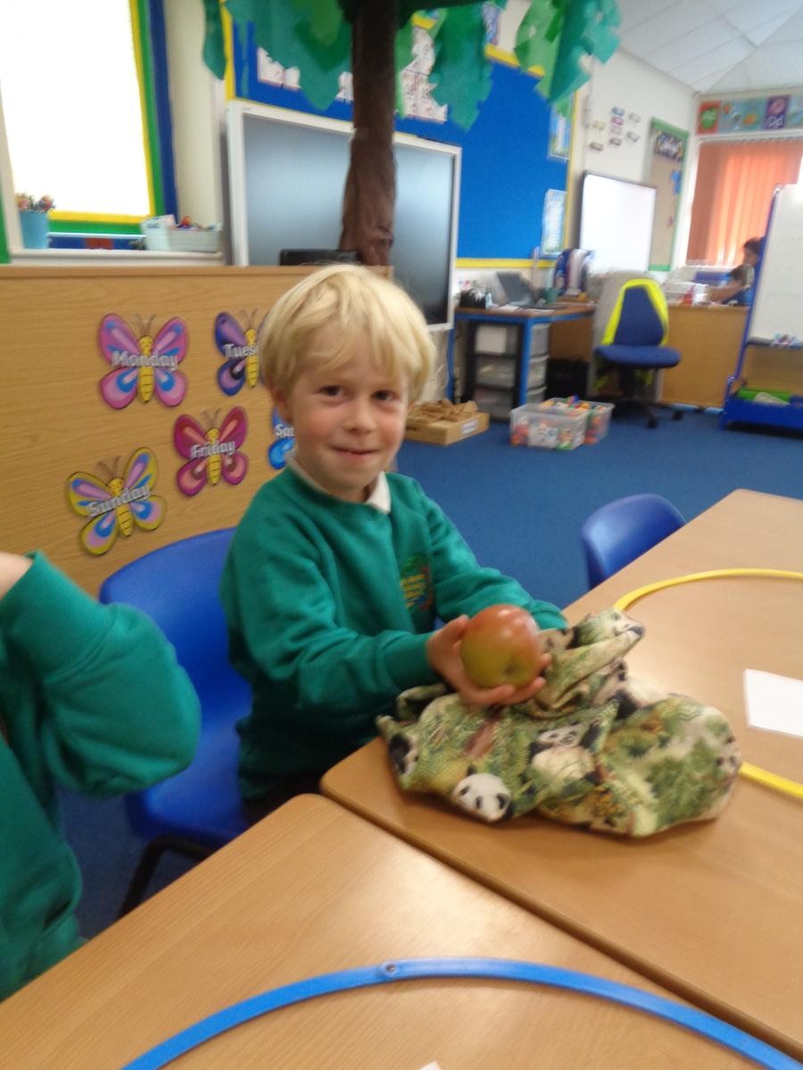 Rufus found an apple in the bag ...