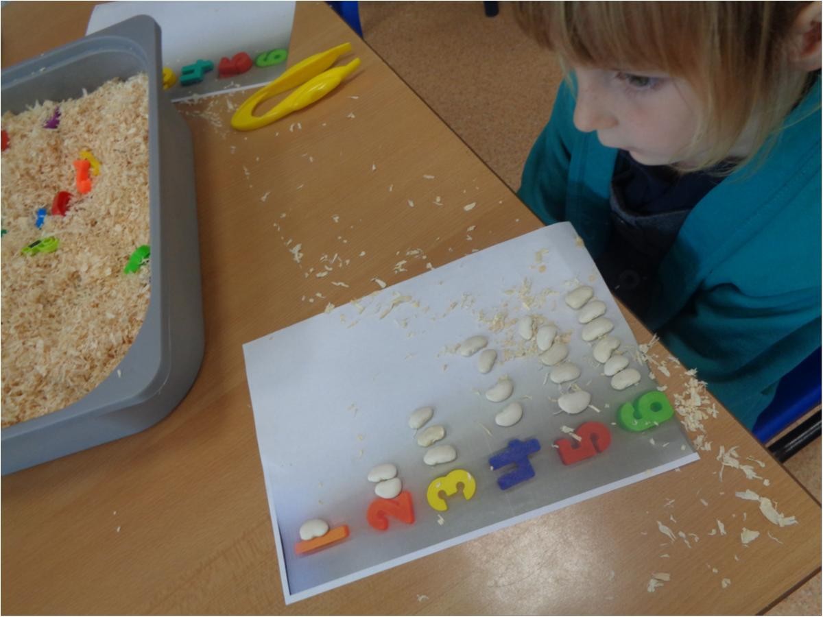 Leah-Rose hunted in the sawdust and found magic beans. She then put the correct quantity by each numeral.